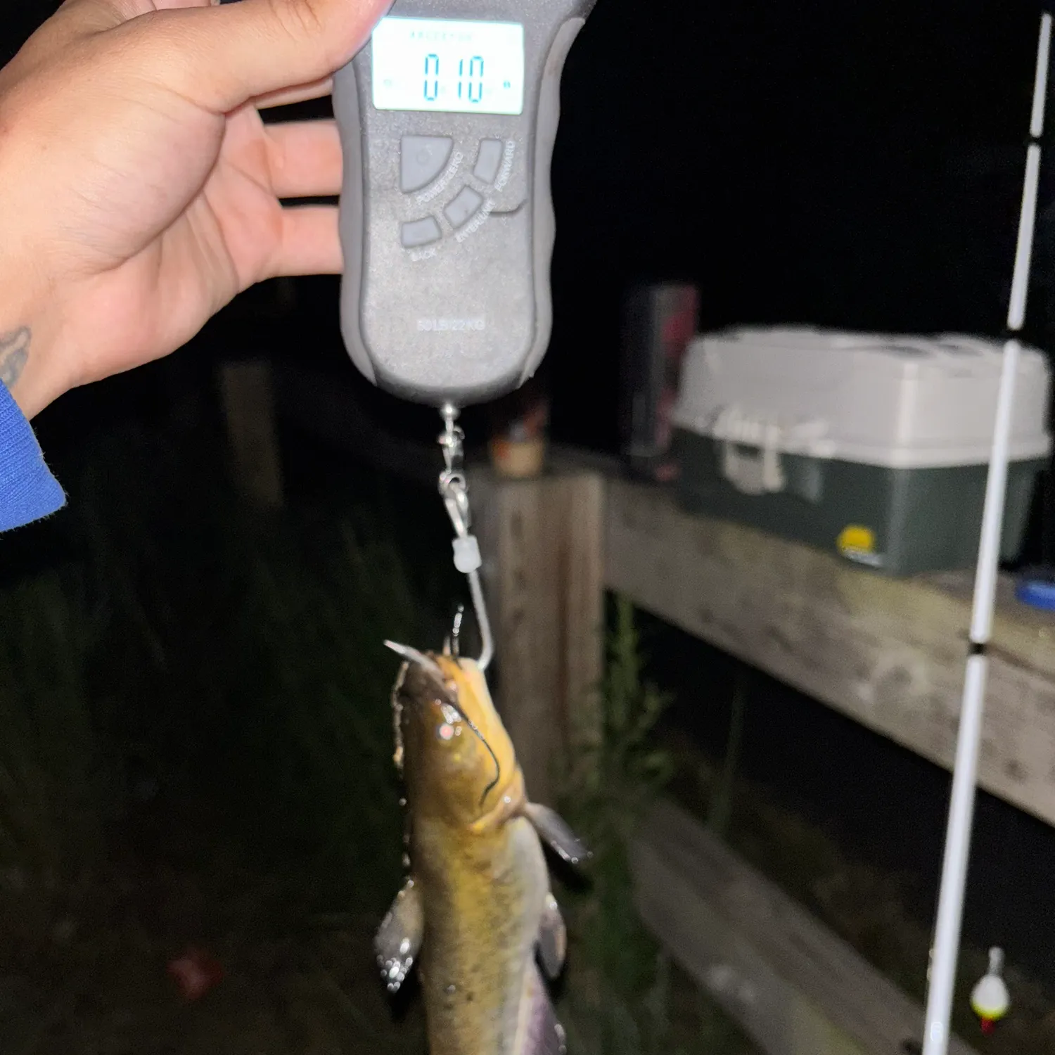 angler catch