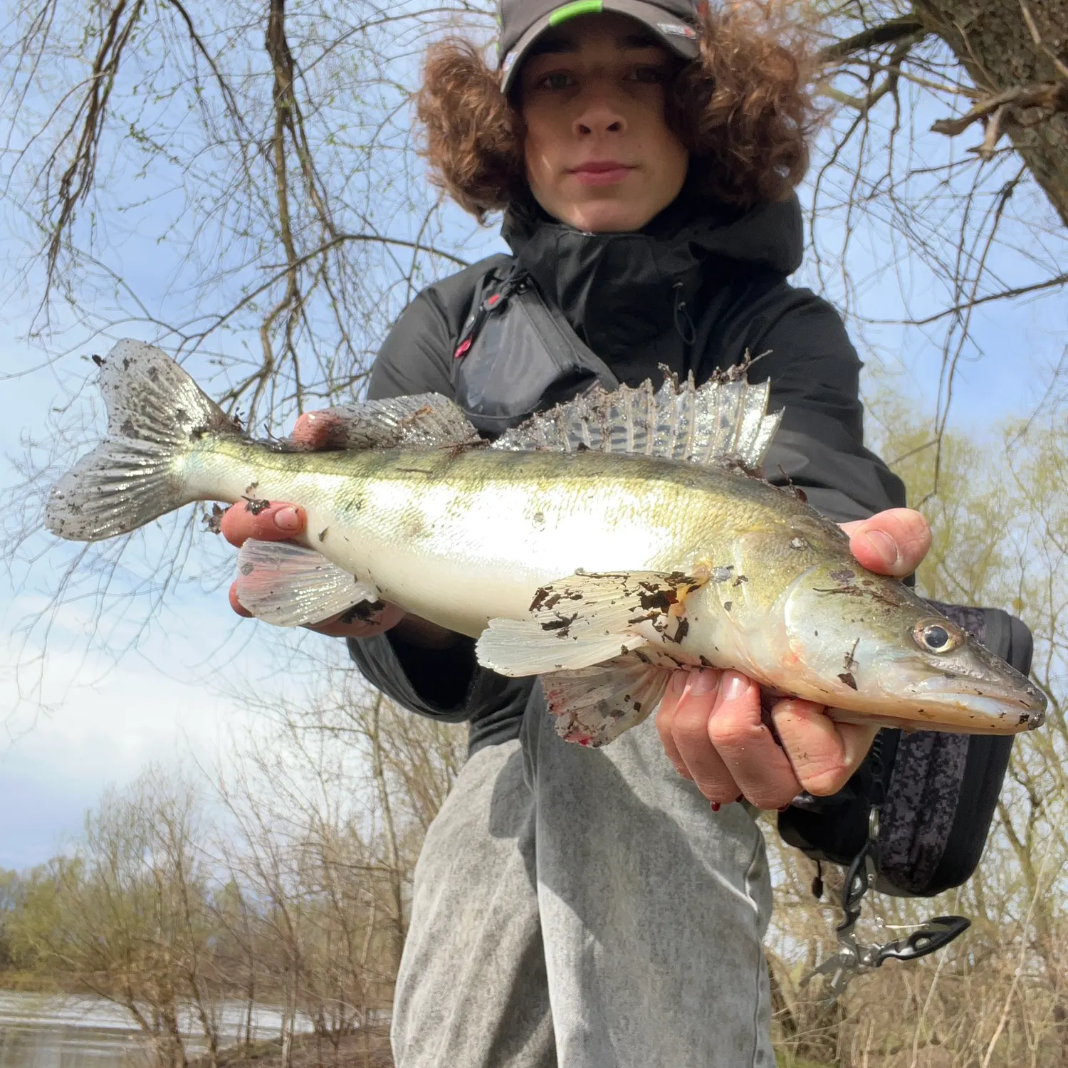 The most recent Zander catches on Fishbrain