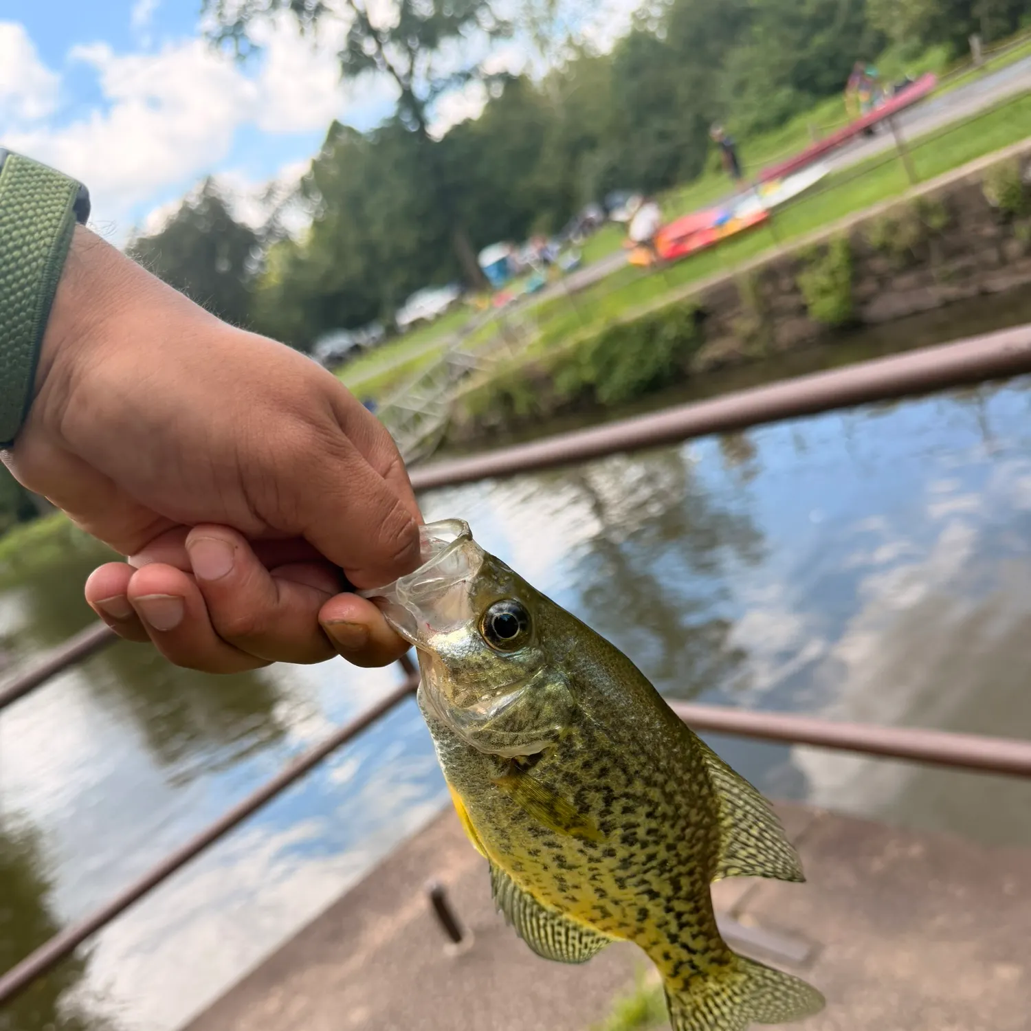 catch