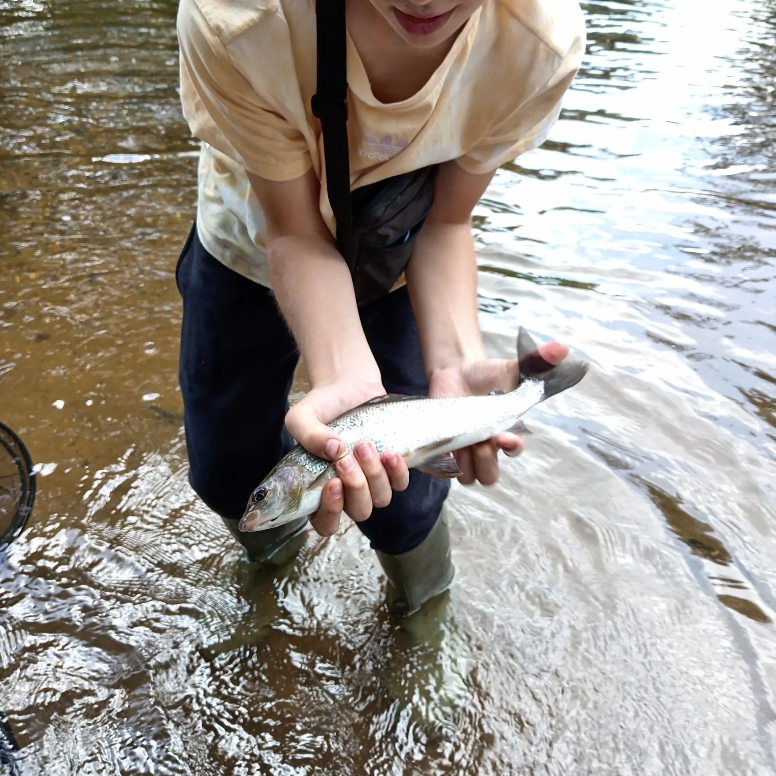 European grayling caught on Fishbrain