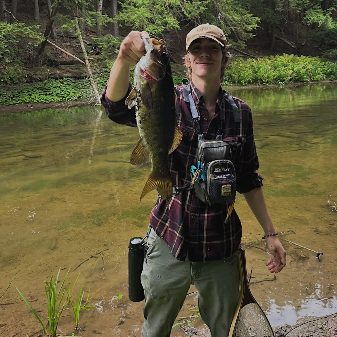 Smallmouth bass caught on Fishbrain