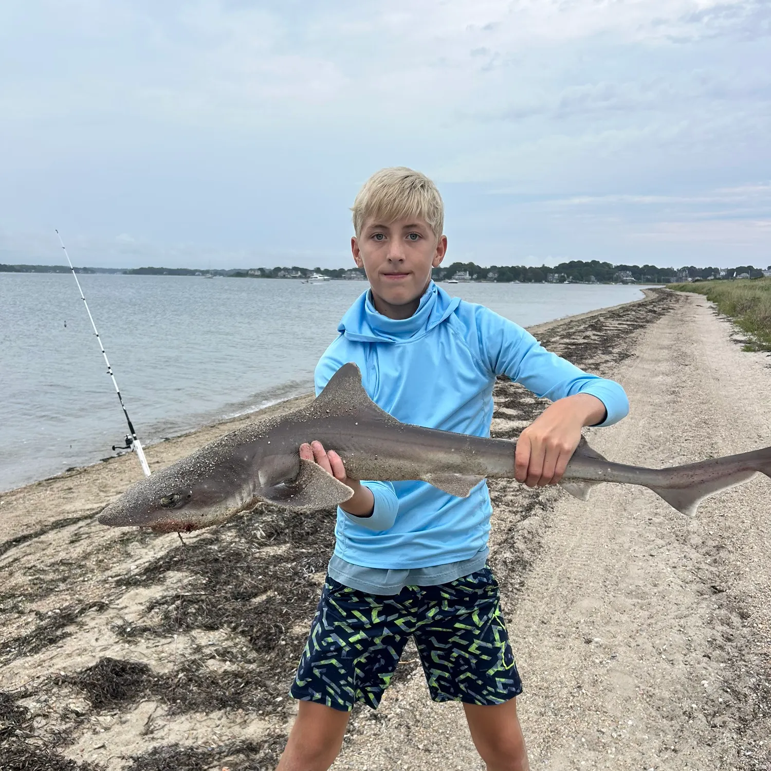 Dusky smooth-hound caught on Fishbrain