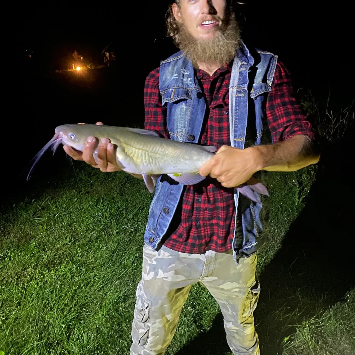 Channel catfish caught on Fishbrain