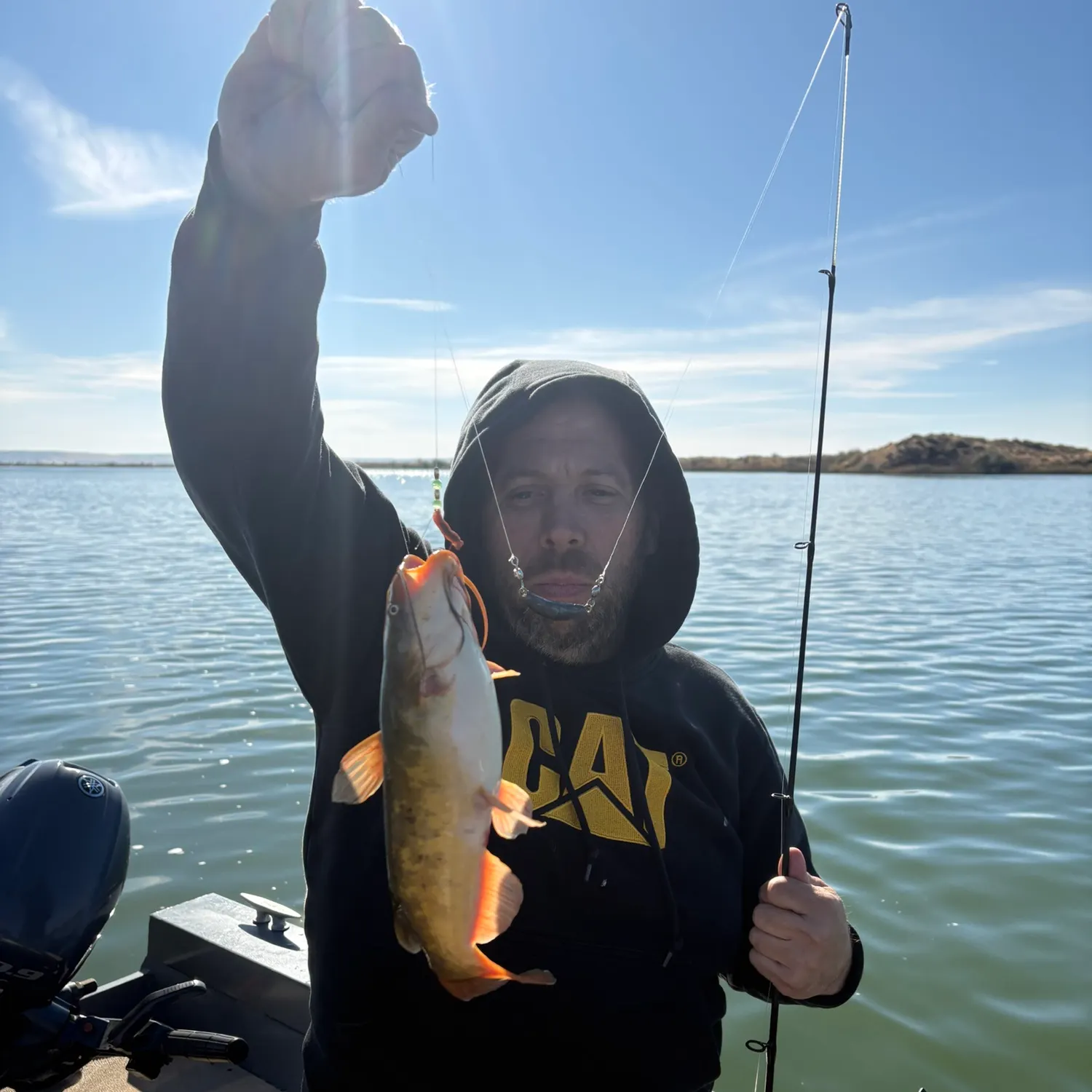 Channel catfish caught on Fishbrain