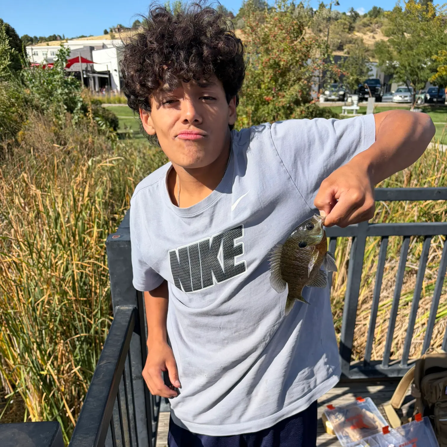 Bluegill caught on Fishbrain