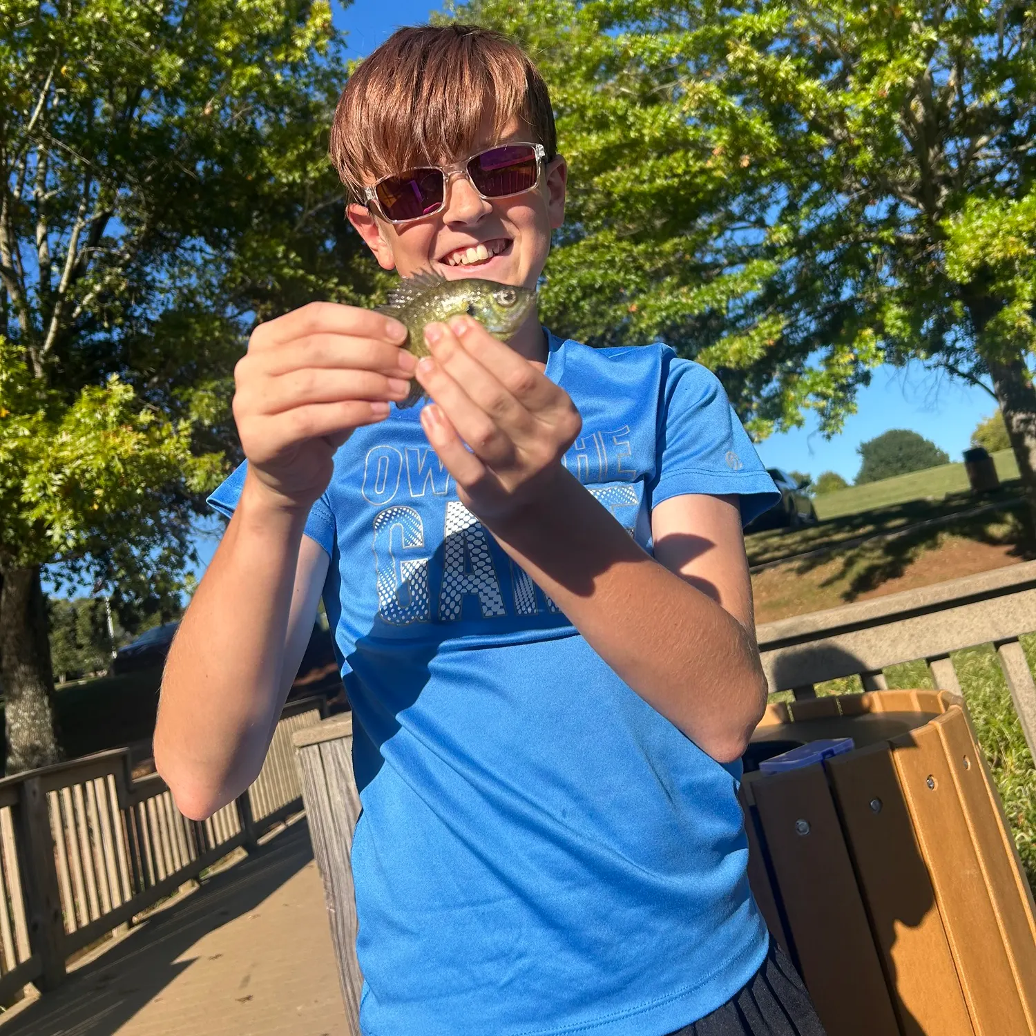 Bluegill caught on Fishbrain
