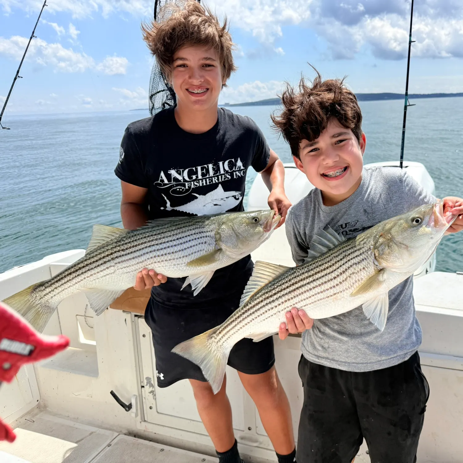 Striped bass caught on Fishbrain