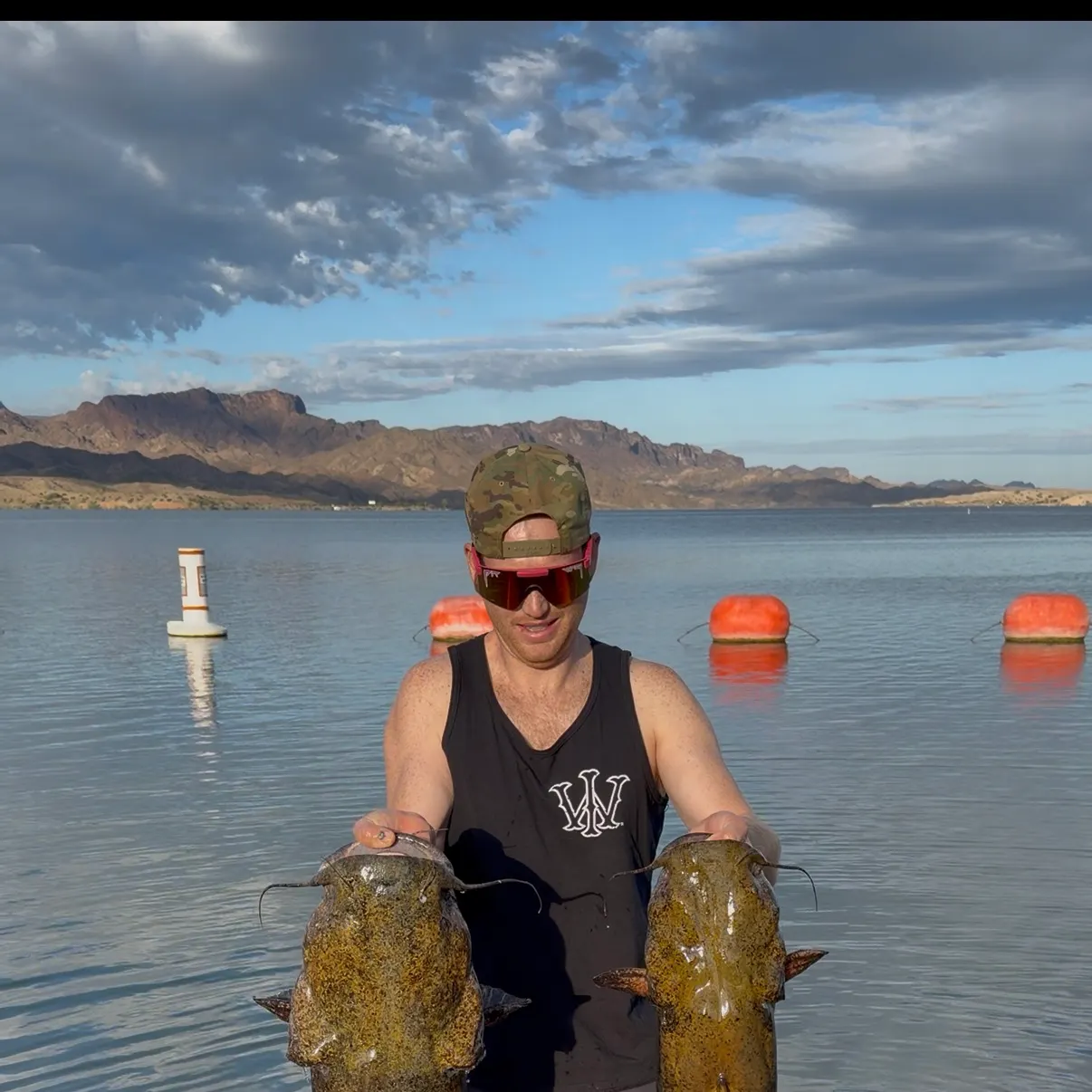 Flathead catfish caught on Fishbrain