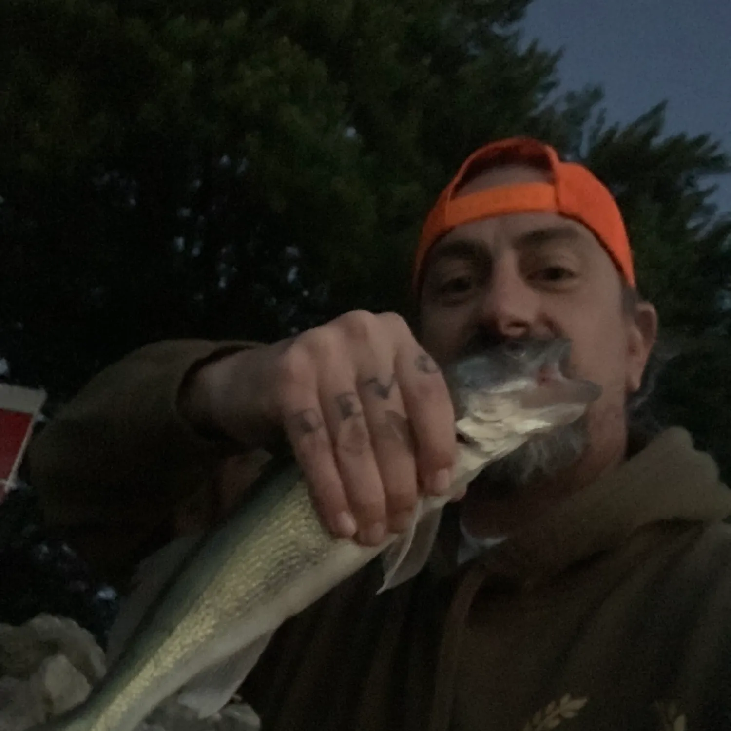 Walleye caught on Fishbrain