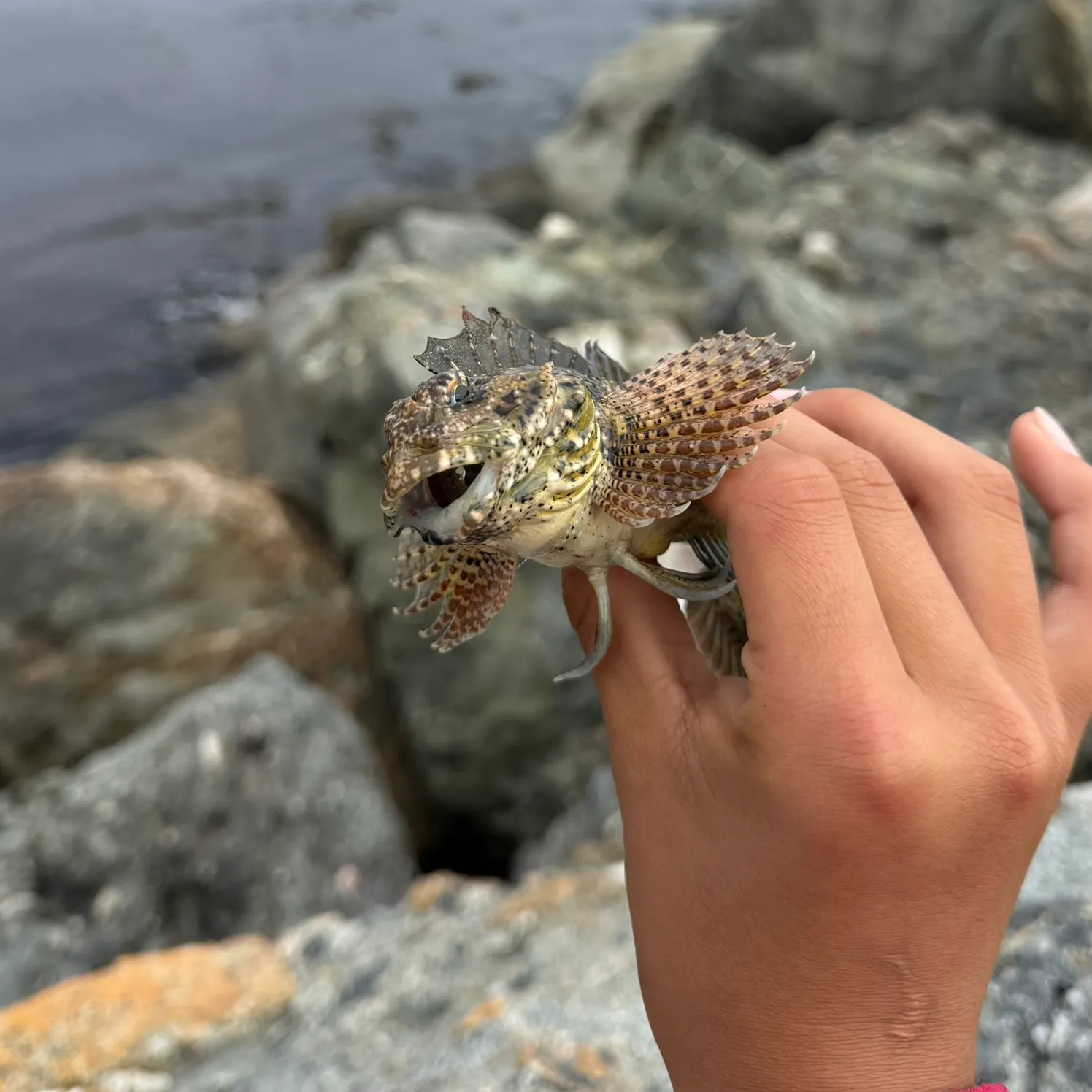 catch