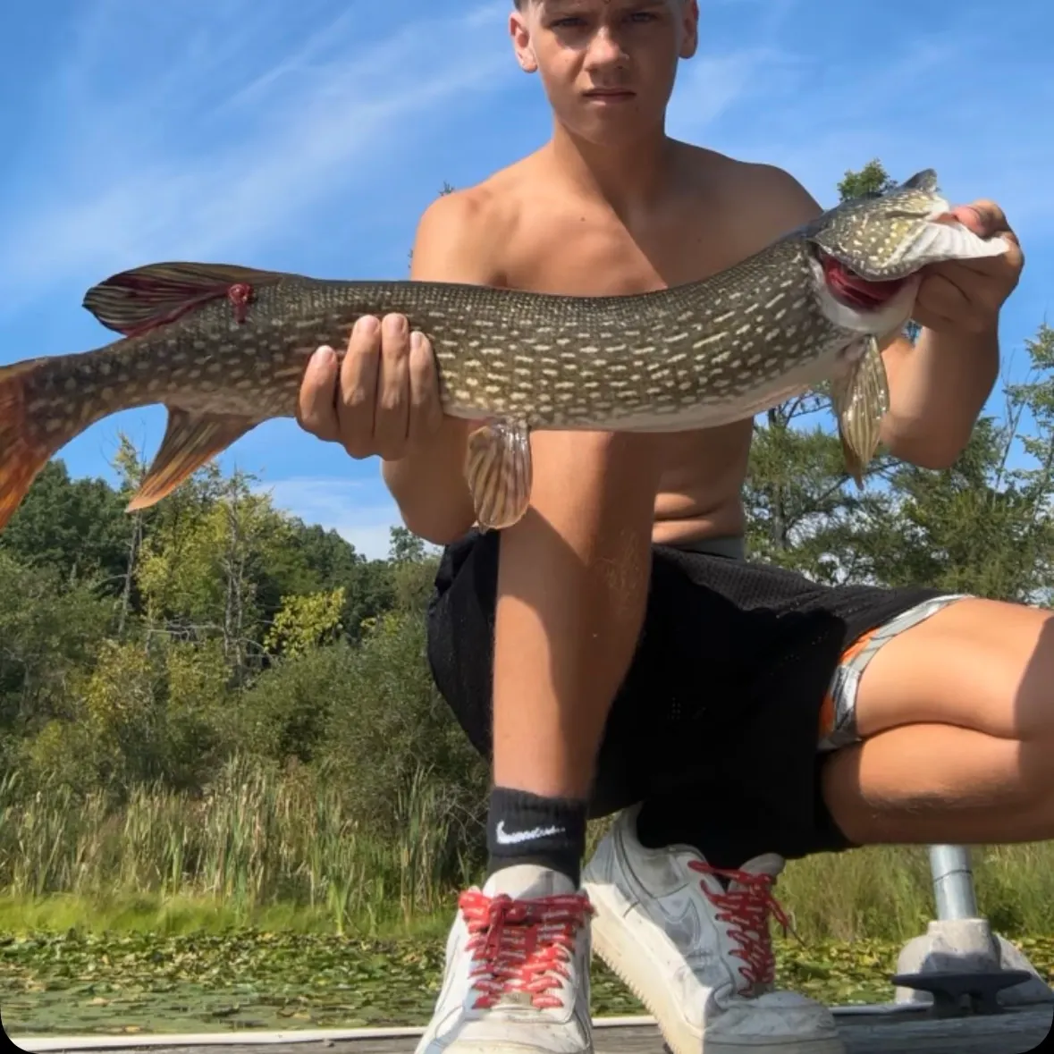 Northern pike caught on Fishbrain