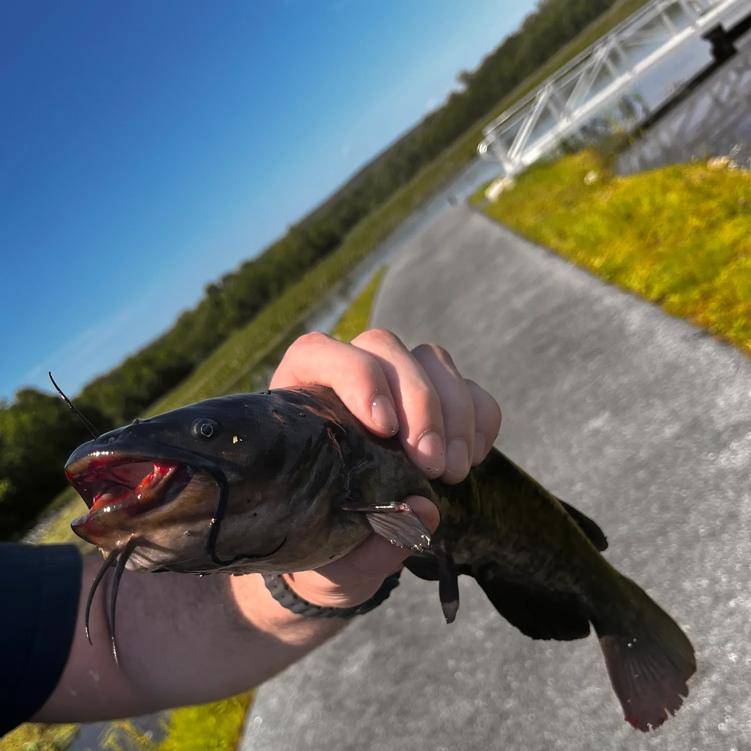 catch