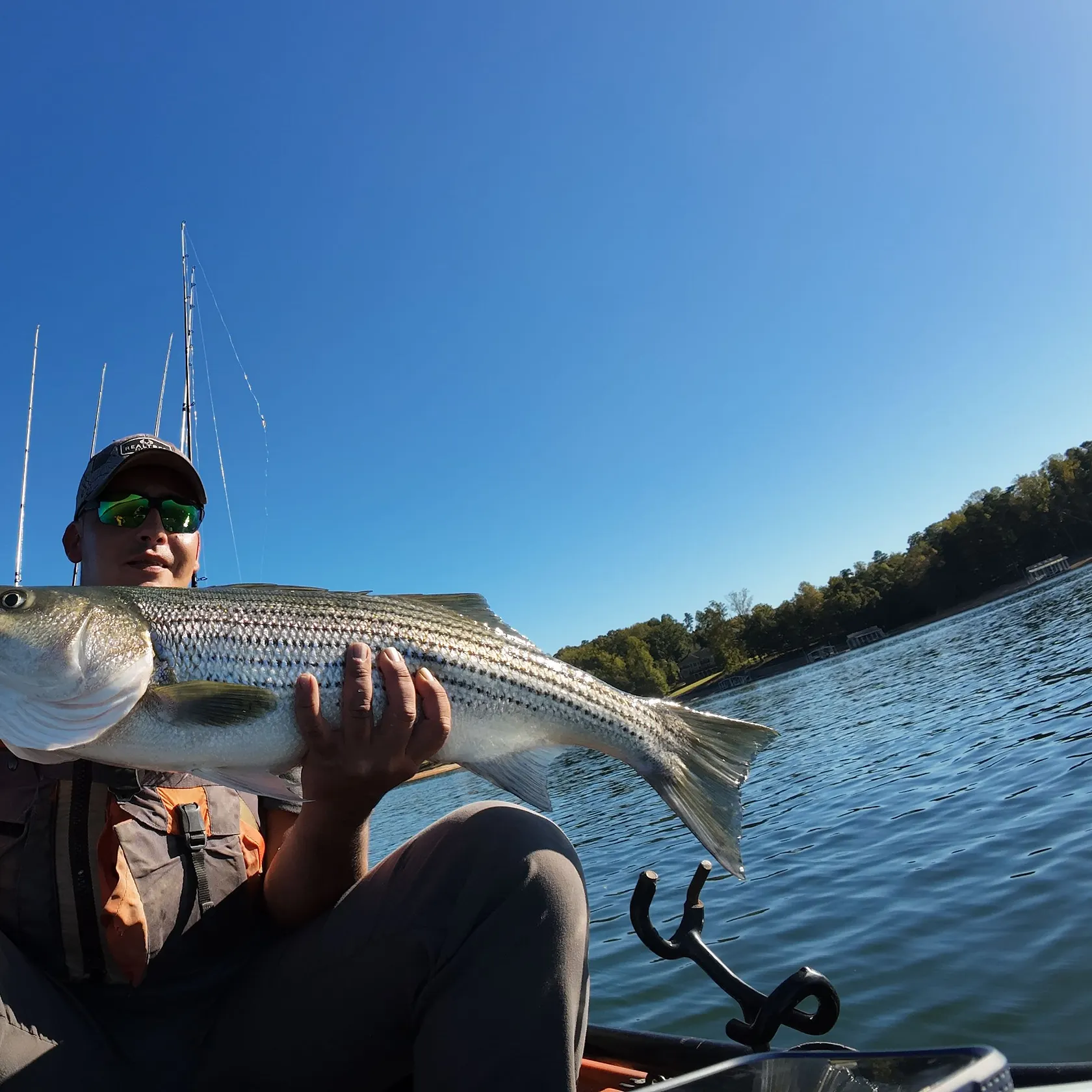 Striped bass caught on Fishbrain