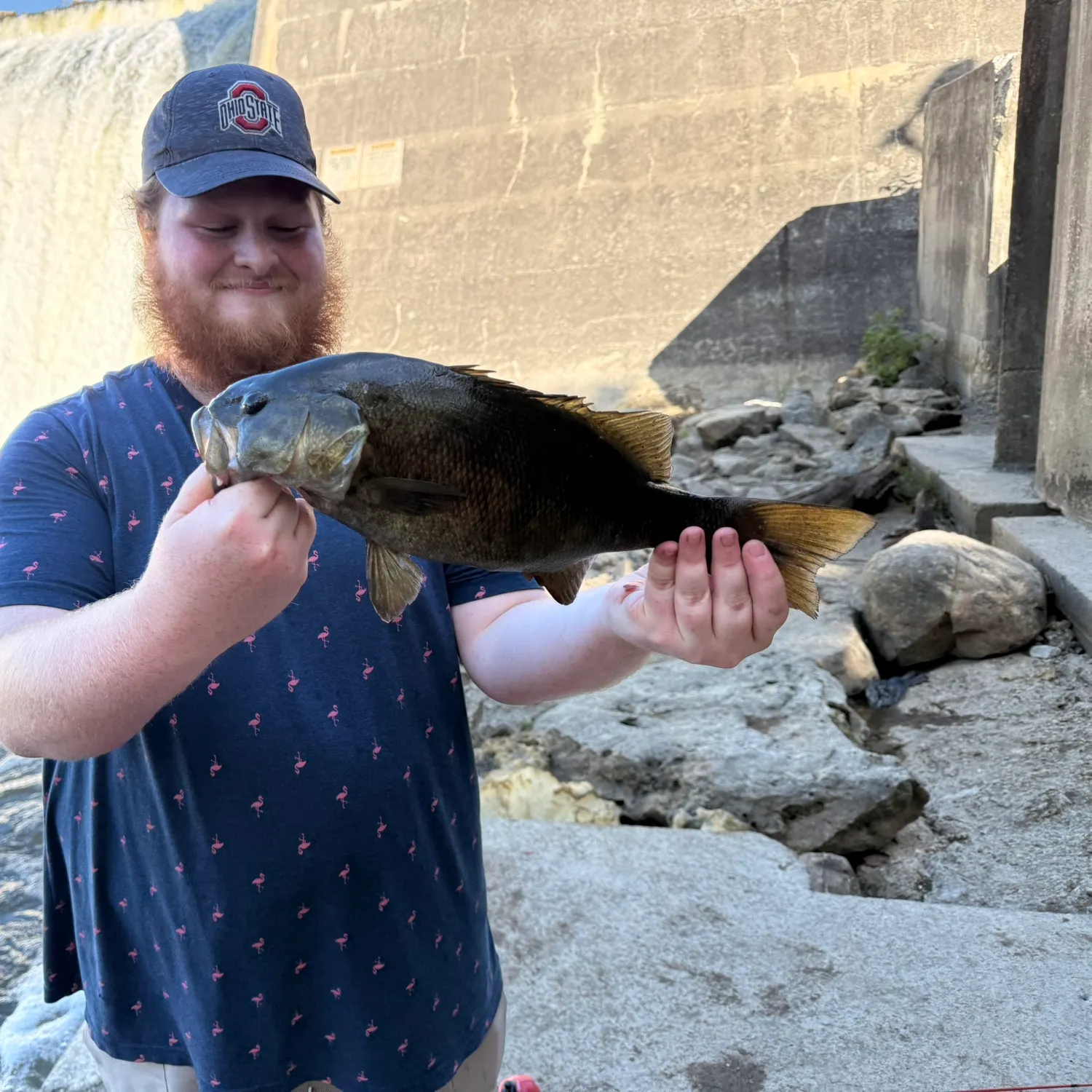 Smallmouth bass caught on Fishbrain