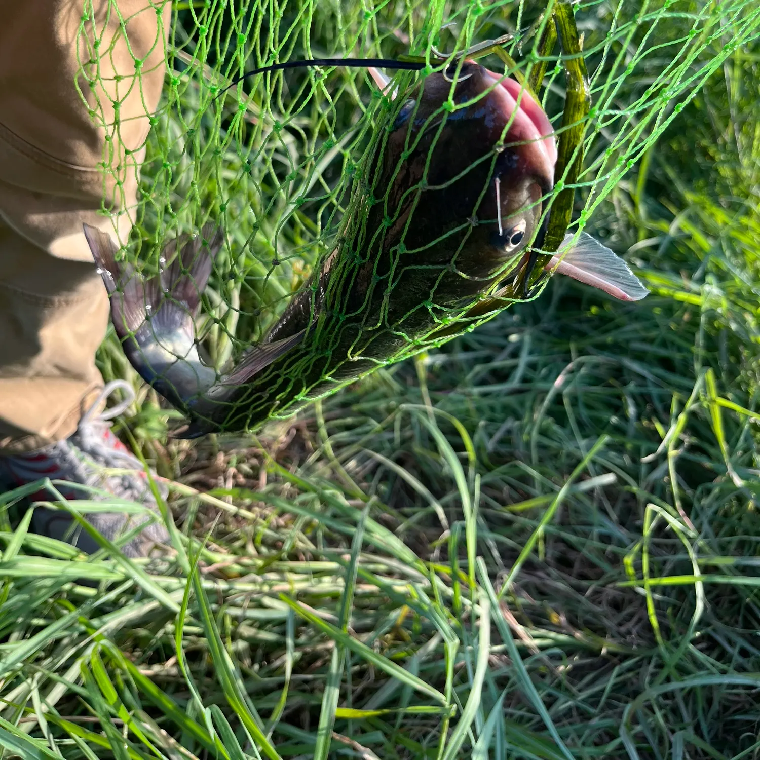 catch