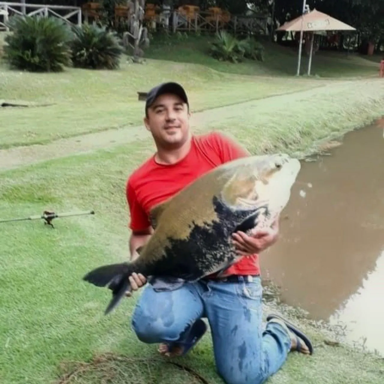 Black pacu caught on Fishbrain