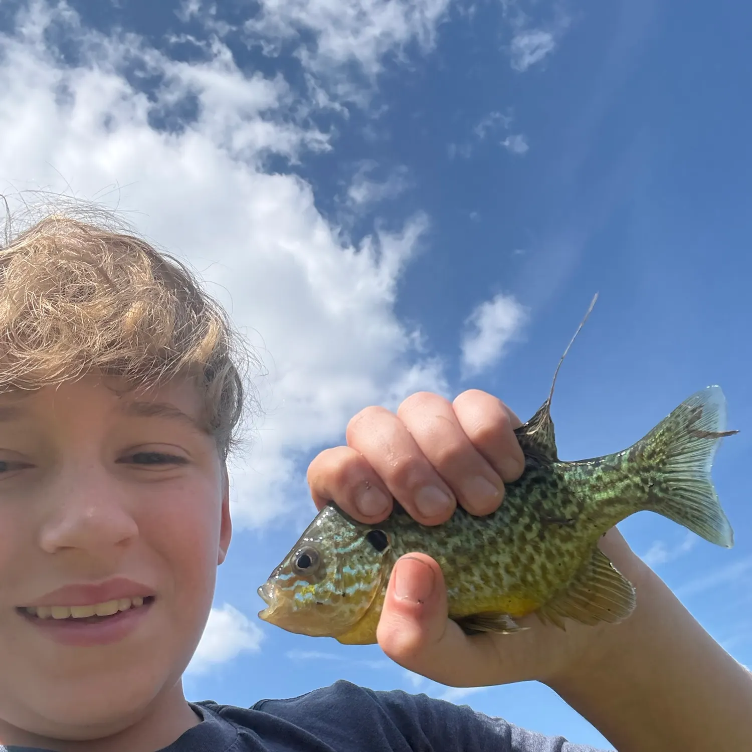 Pumpkinseed caught on Fishbrain
