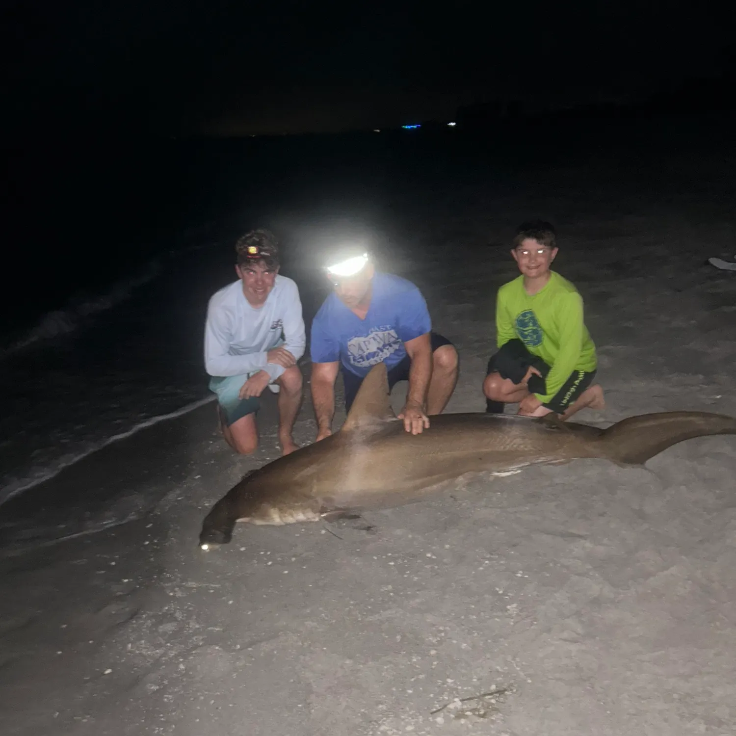 The most recent Smooth hammerhead shark catches on Fishbrain