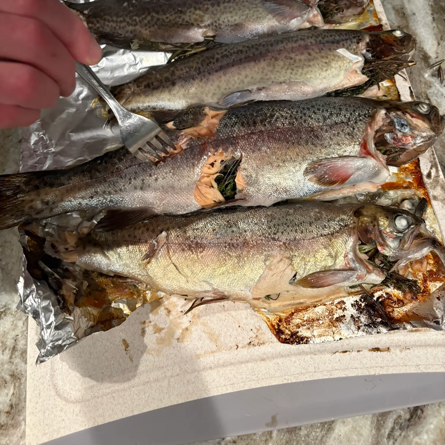 recently logged catches