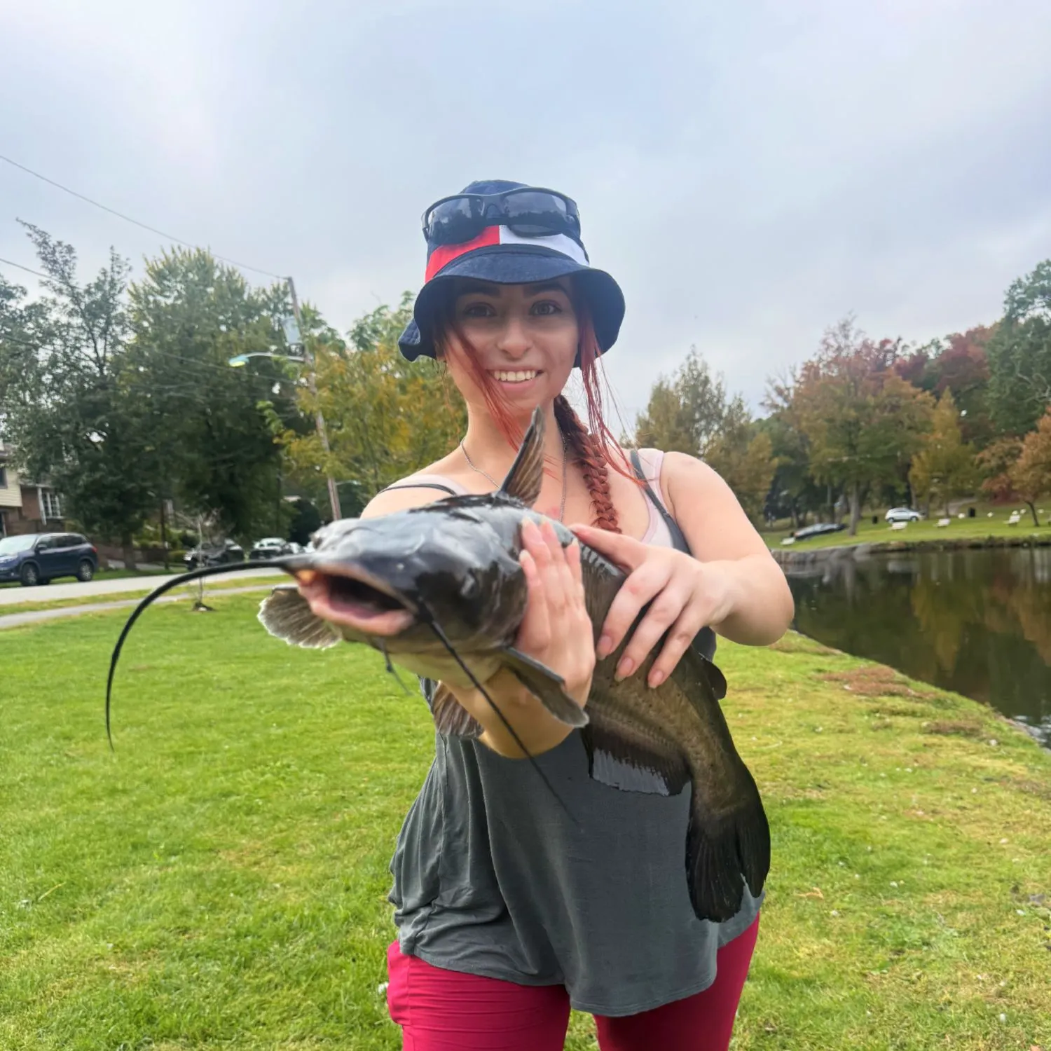 Black bullhead caught on Fishbrain