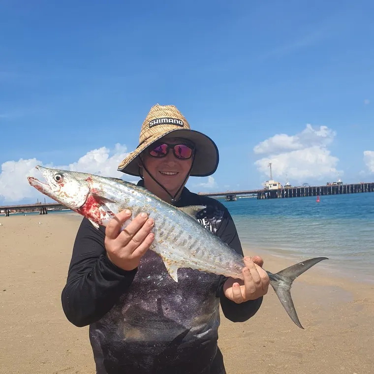 Narrow-barred Spanish mackerel caught on Fishbrain