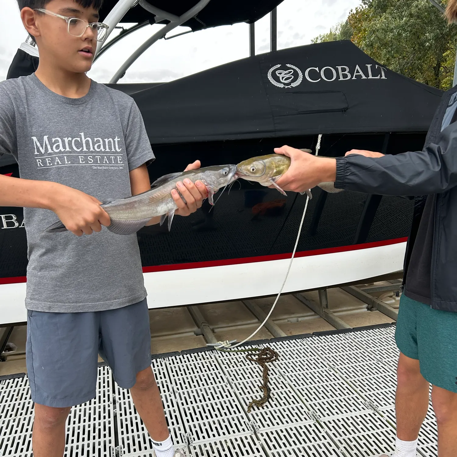 Channel catfish caught on Fishbrain