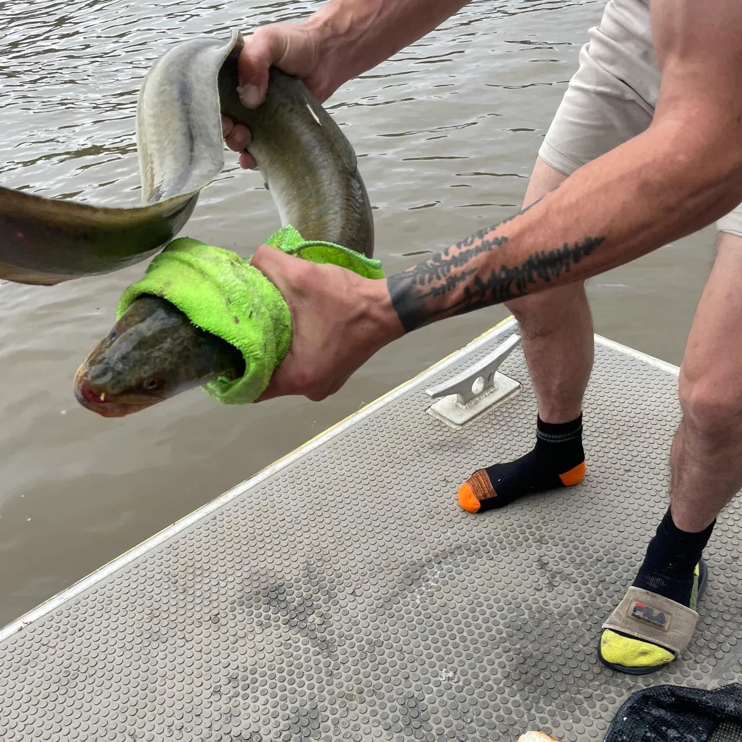 recently logged catches