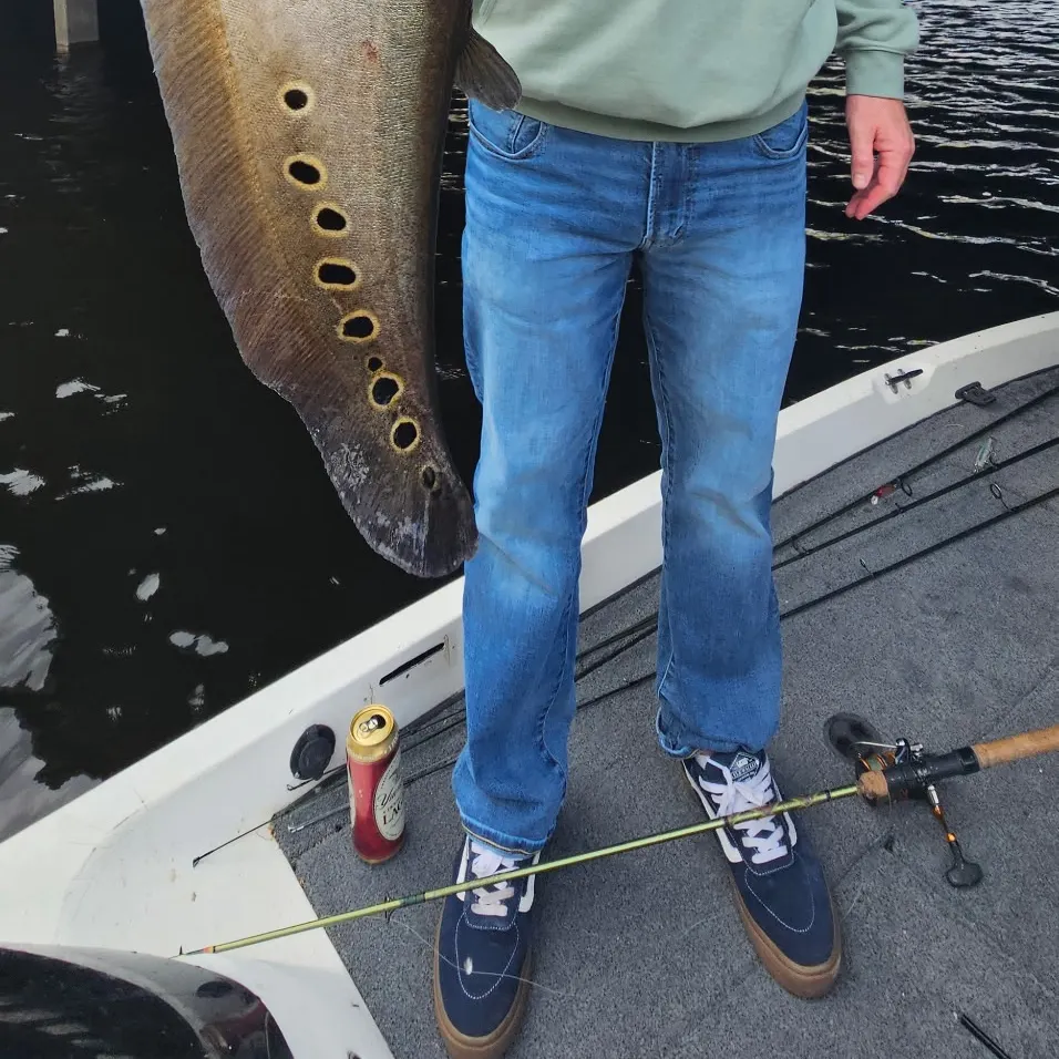 The most recent Clown knifefish catches on Fishbrain