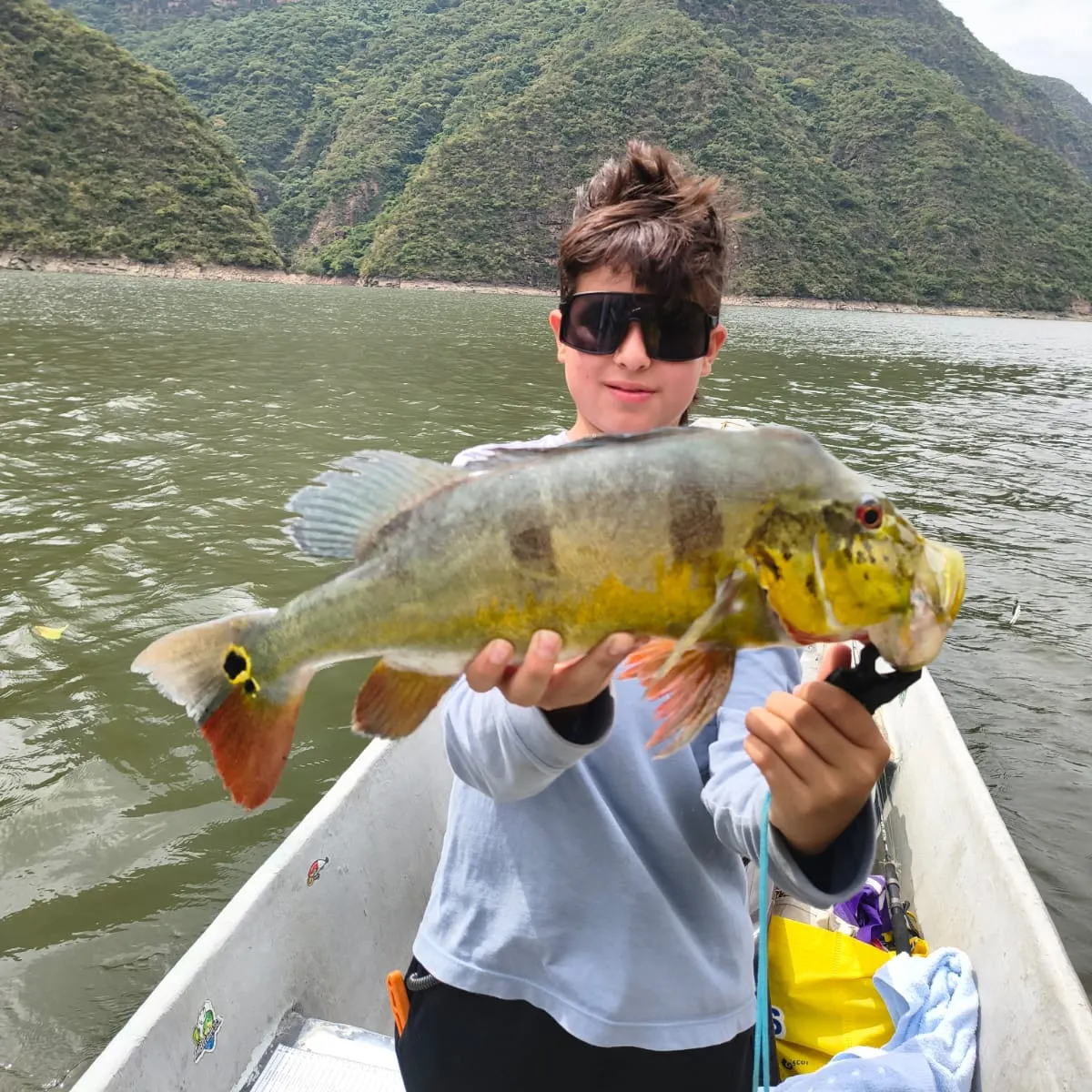 The most recent Speckled peacock bass catches on Fishbrain