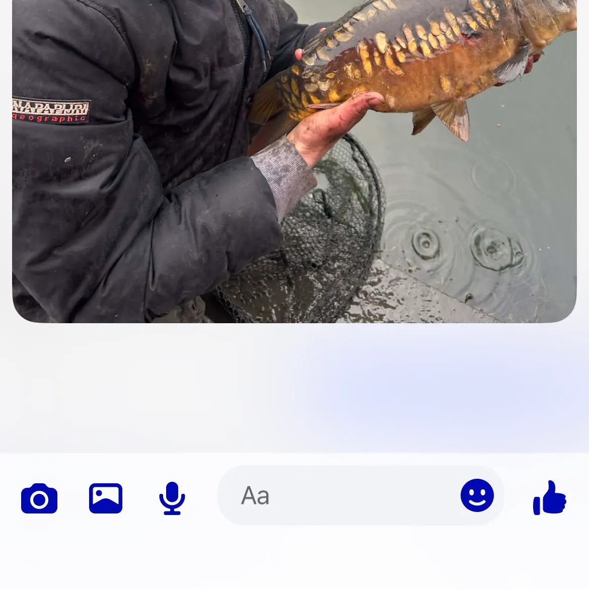 The most recent Mirror carp catches on Fishbrain