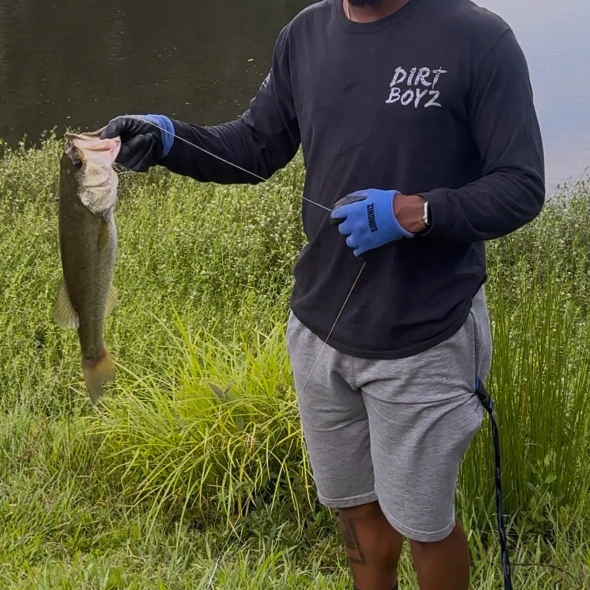 Largemouth bass caught on Fishbrain