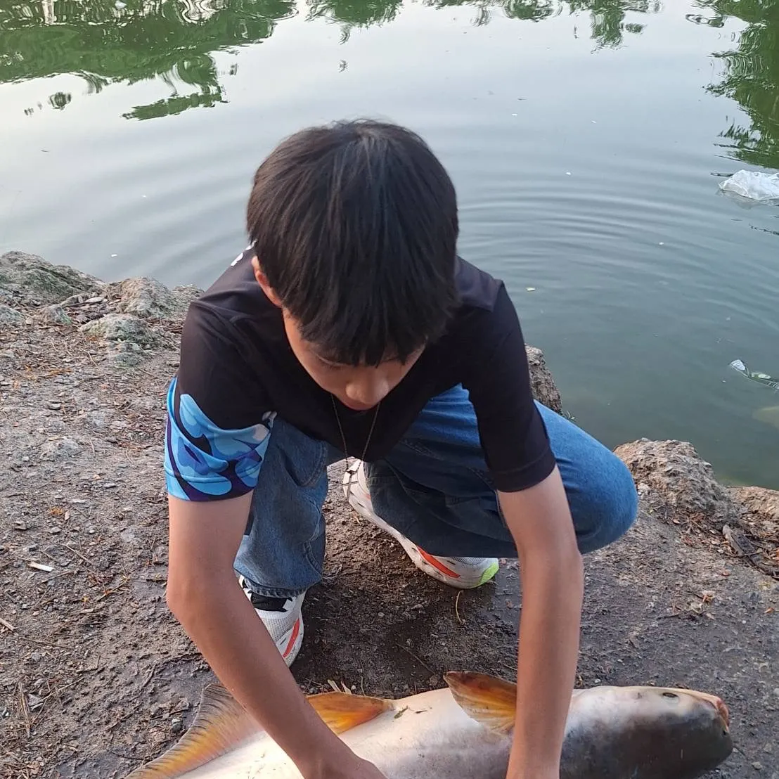 The most recent Mekong giant catfish catches on Fishbrain
