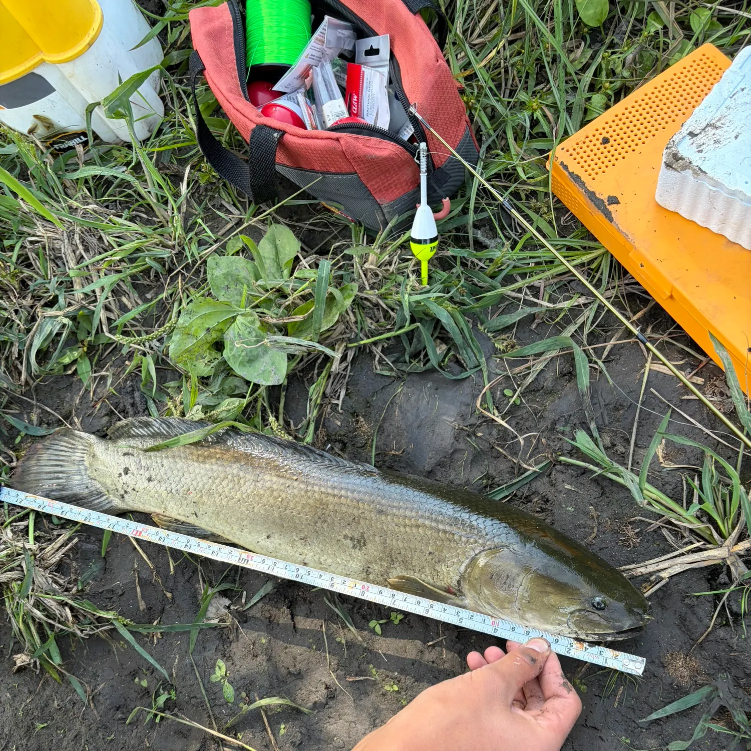 catch