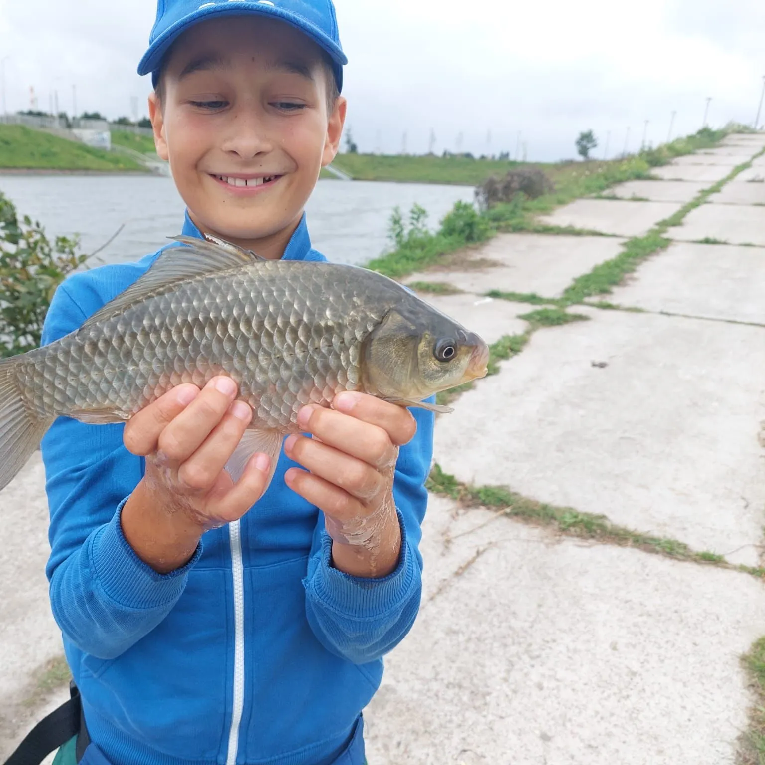 The most recent Crucian carp catches on Fishbrain