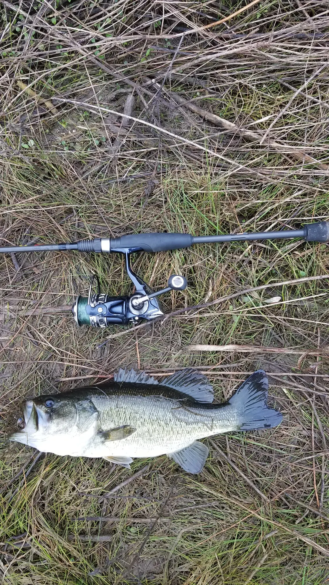 Post image from agraham5897