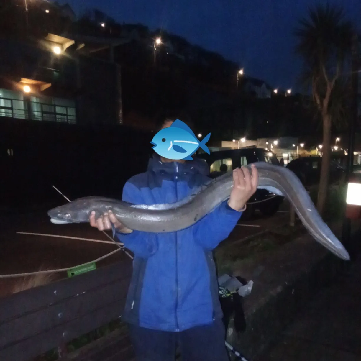 The most recent European conger catches on Fishbrain