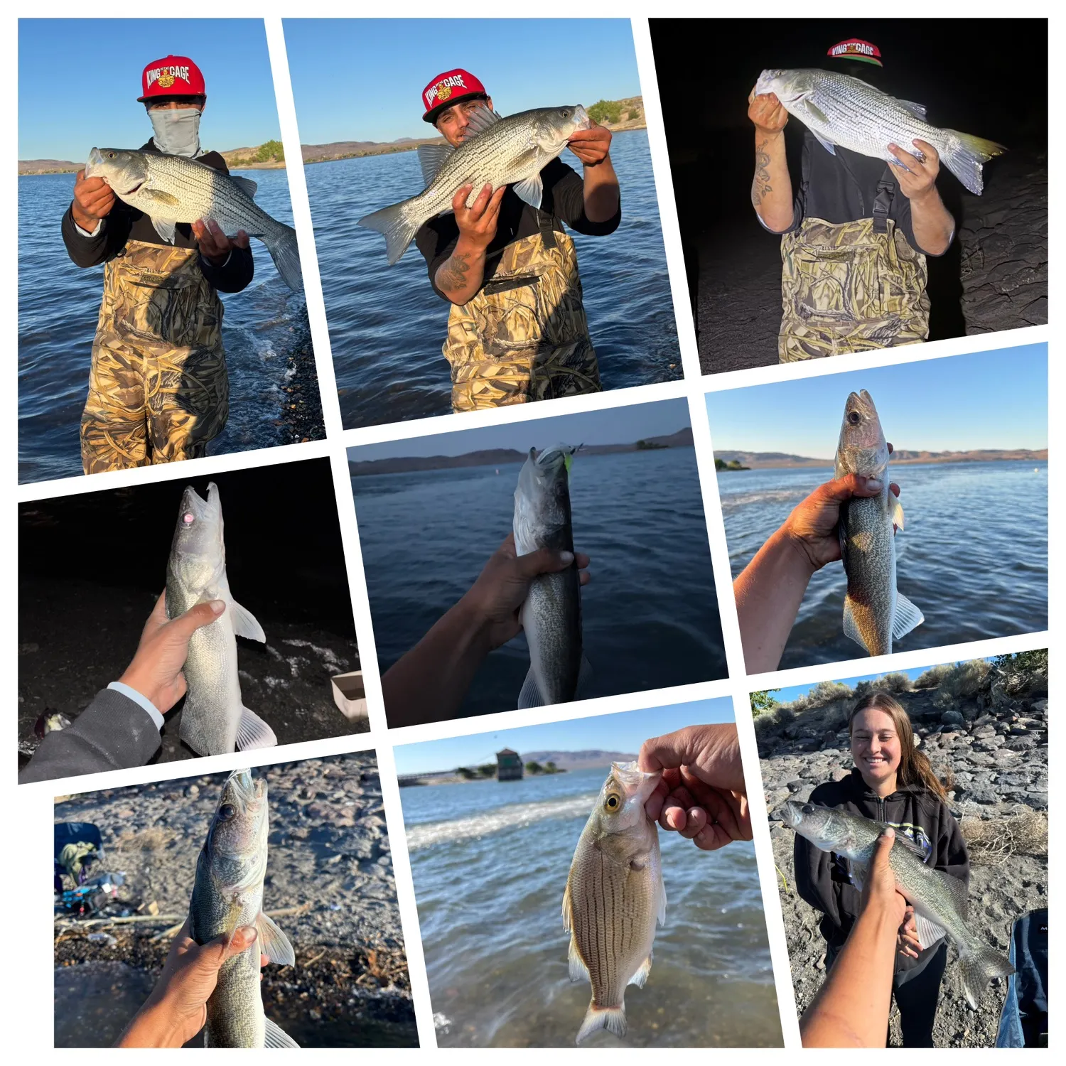 recently logged catches