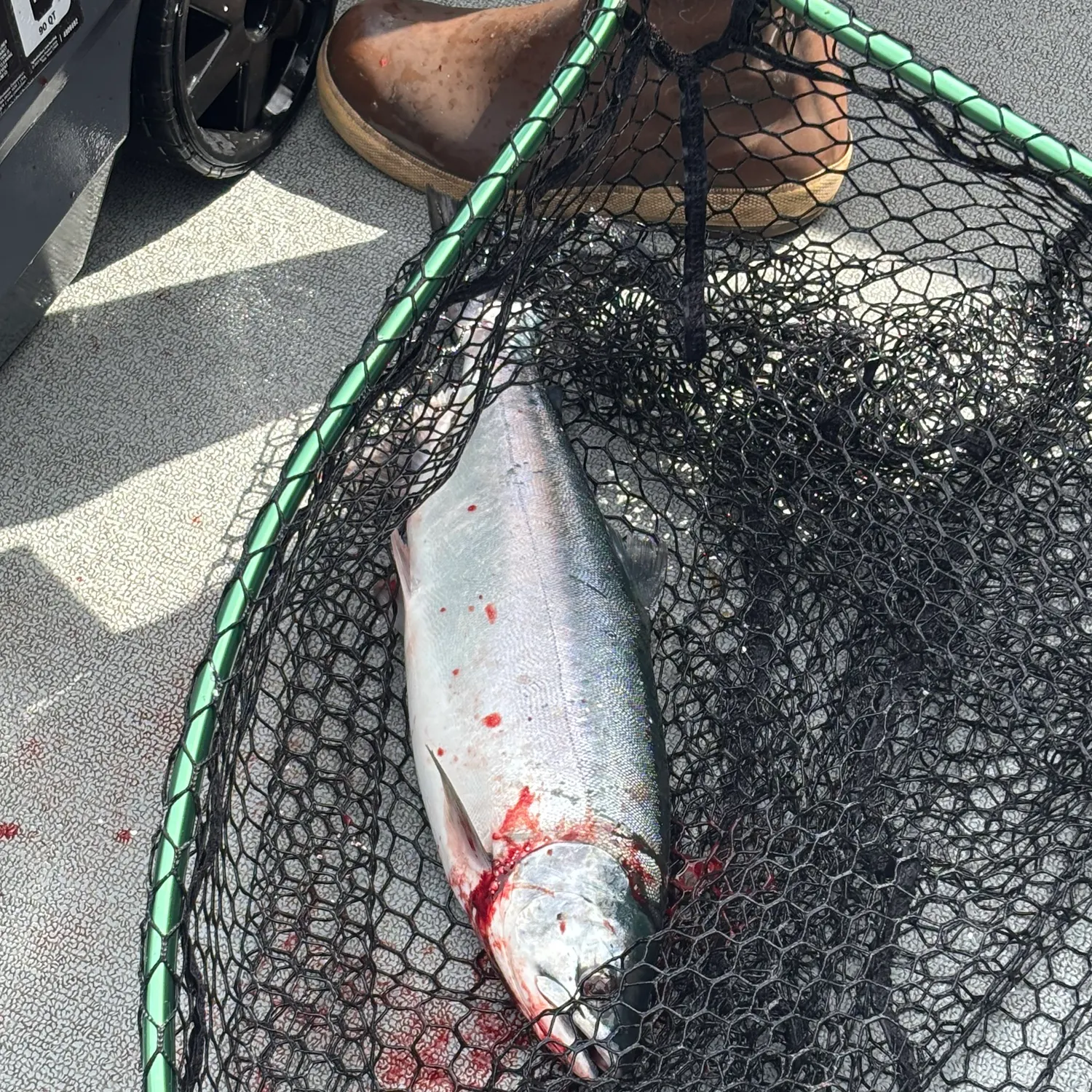 catch