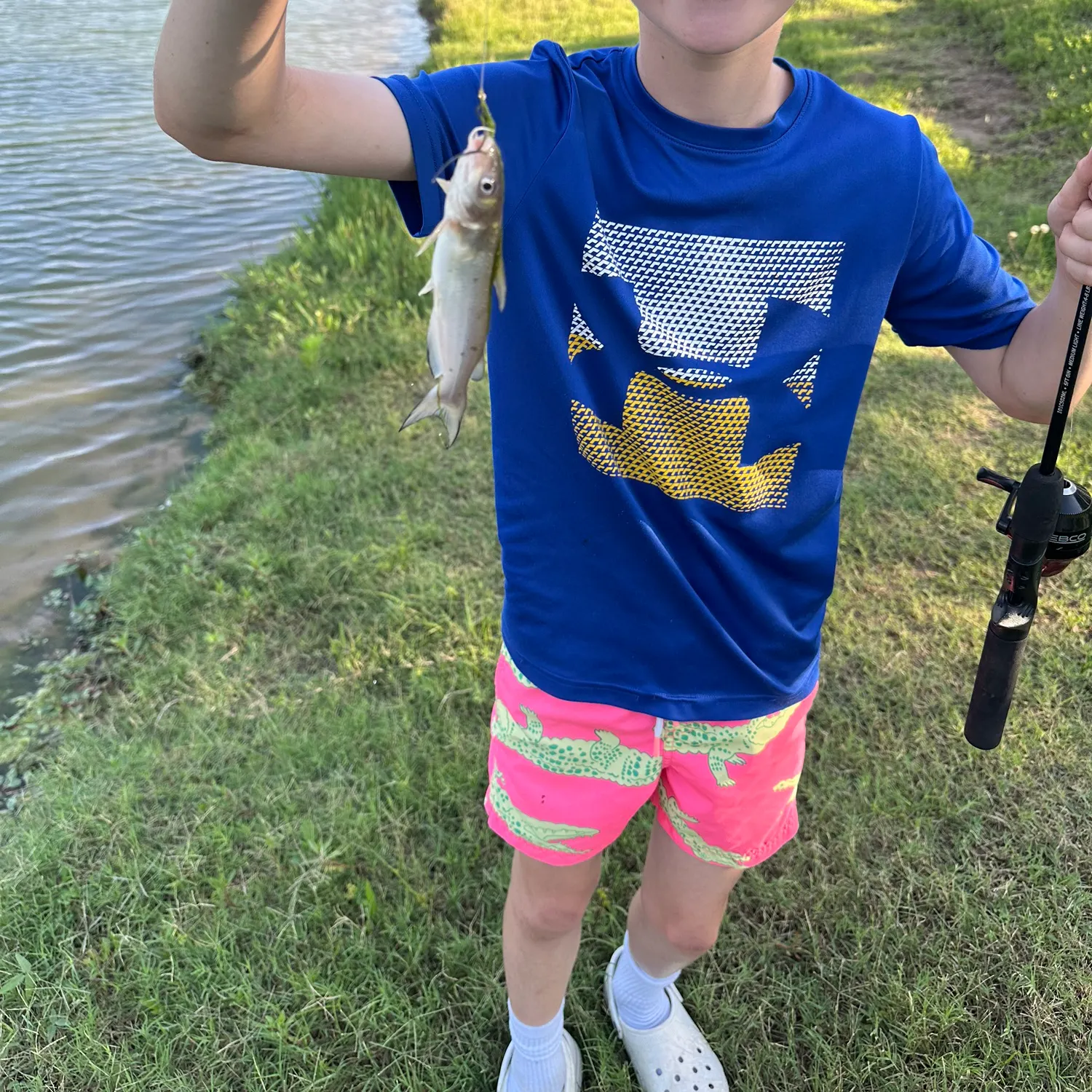 The most recent Bloch's squeaker catfish catches on Fishbrain