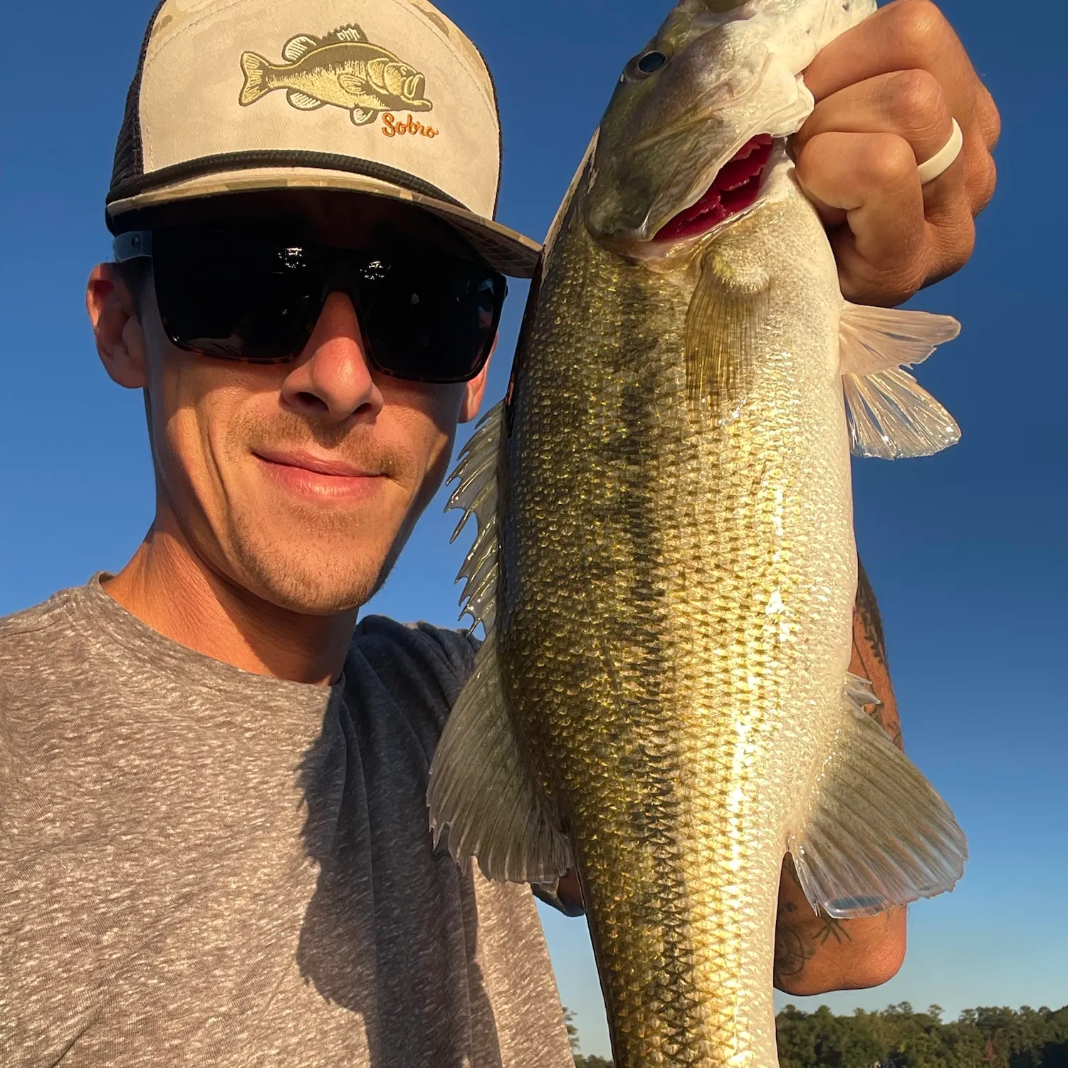 Spotted bass caught on Fishbrain
