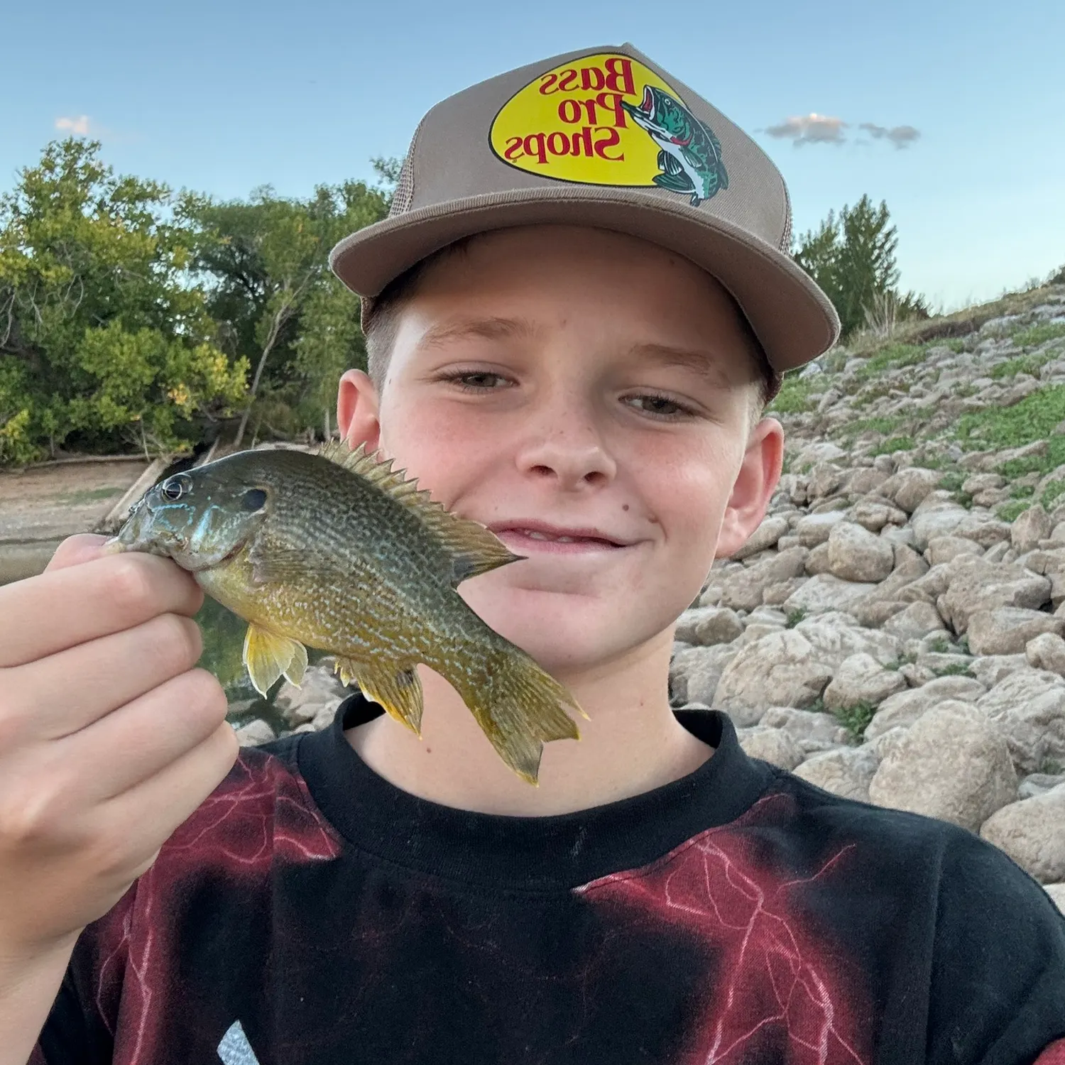 Green sunfish caught on Fishbrain