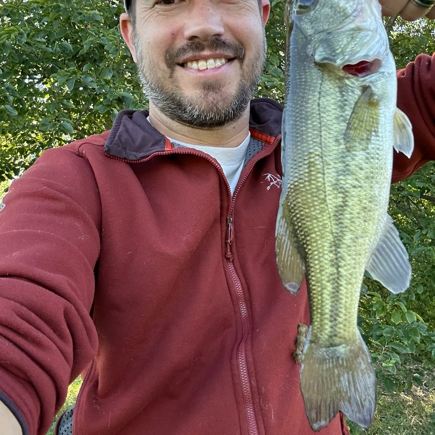 Largemouth bass caught on Fishbrain