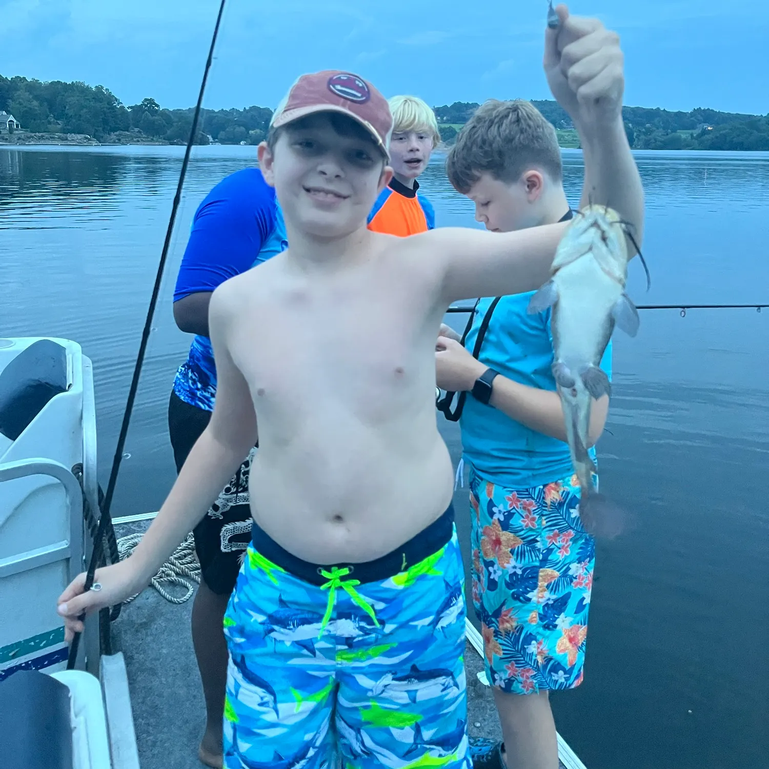 Brown bullhead caught on Fishbrain