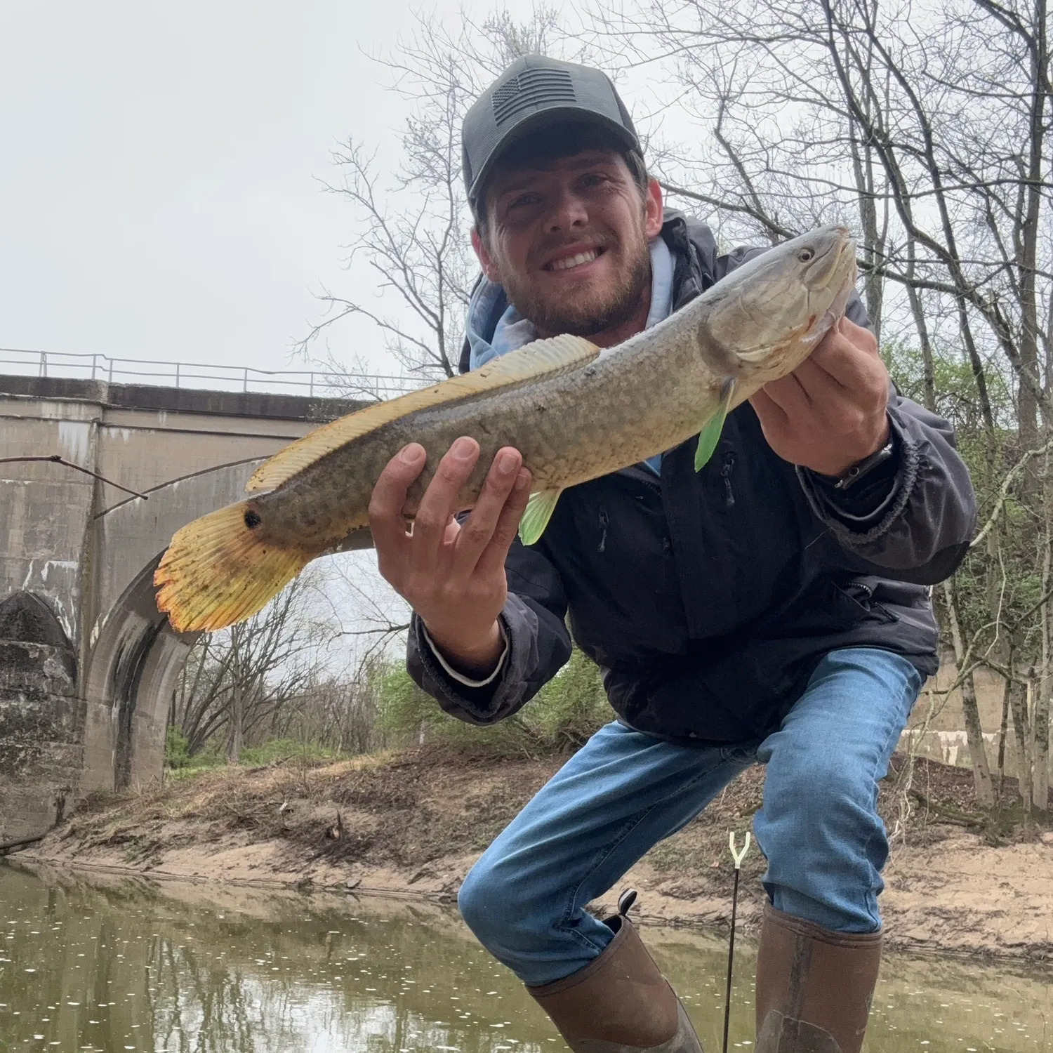 The most recent Eyetail bowfin catches on Fishbrain