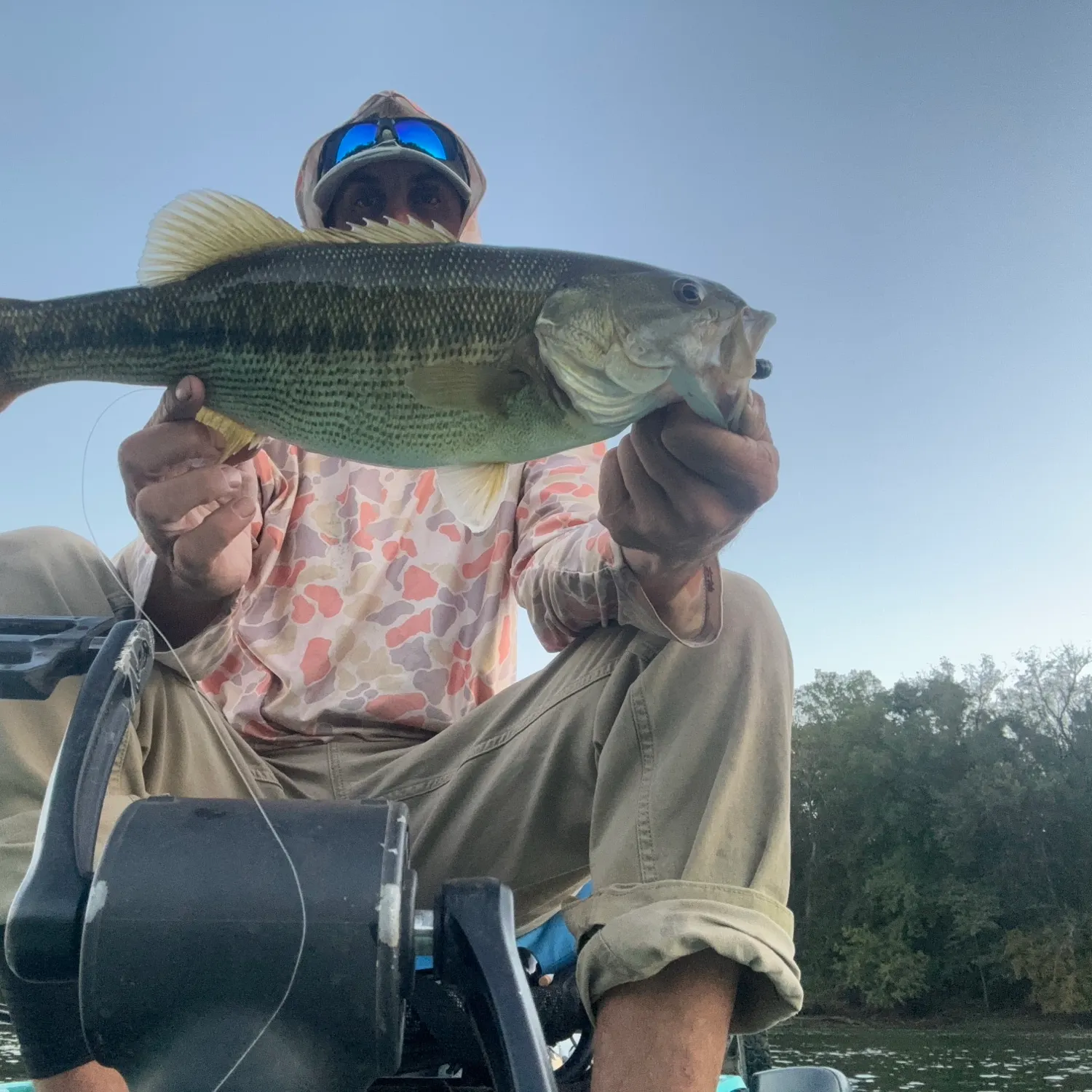 Spotted bass caught on Fishbrain