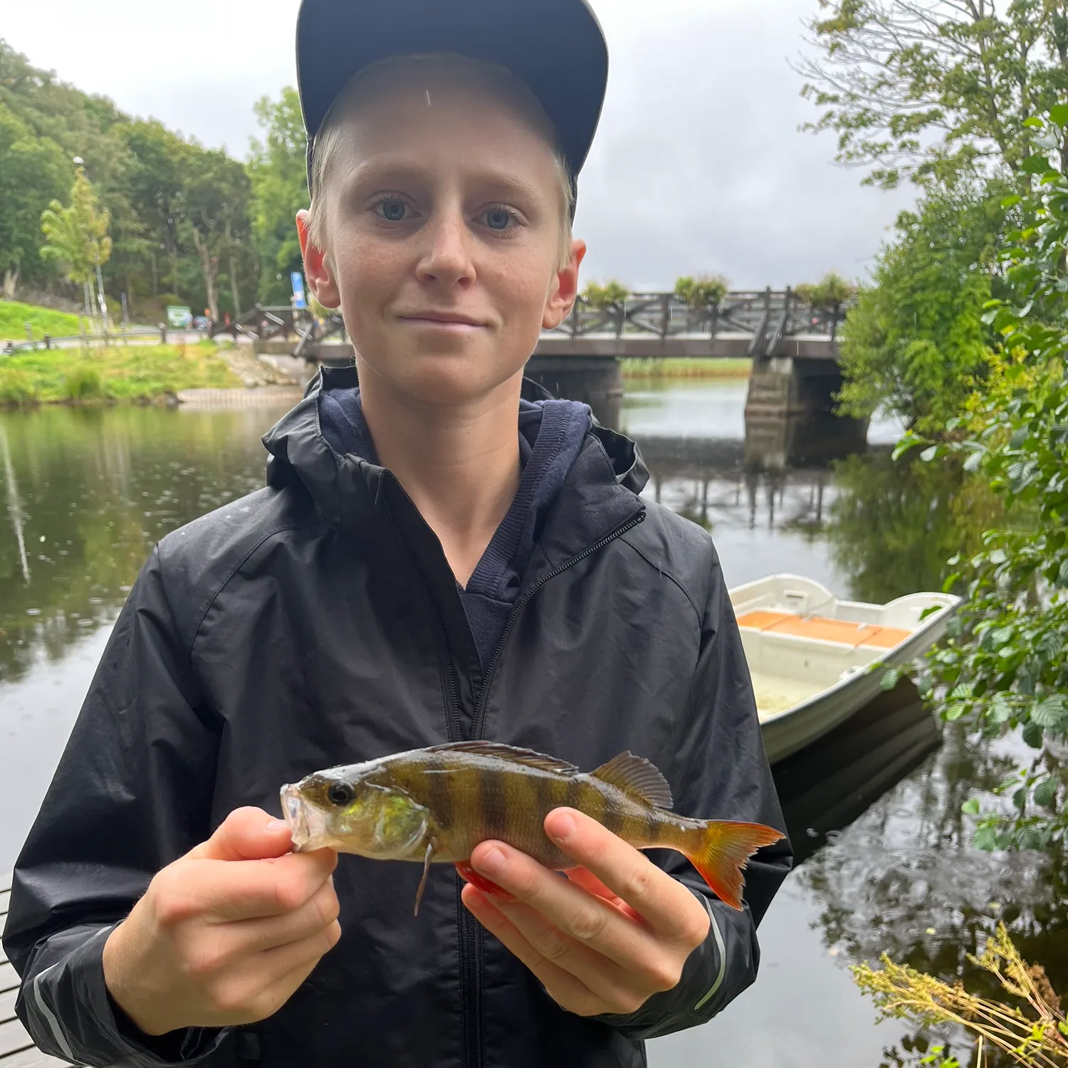 European perch caught on Fishbrain