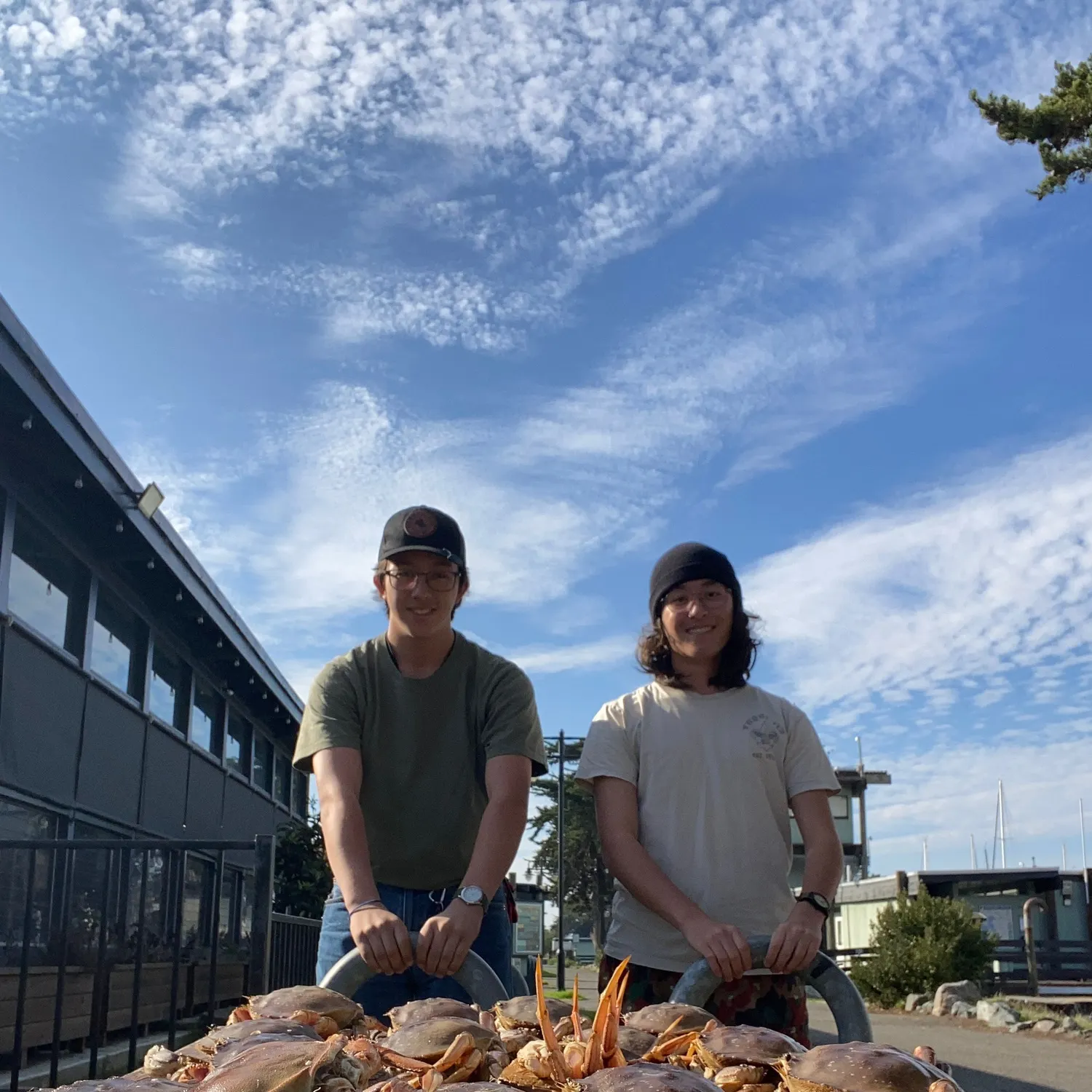 The most recent Dungeness crab catches on Fishbrain