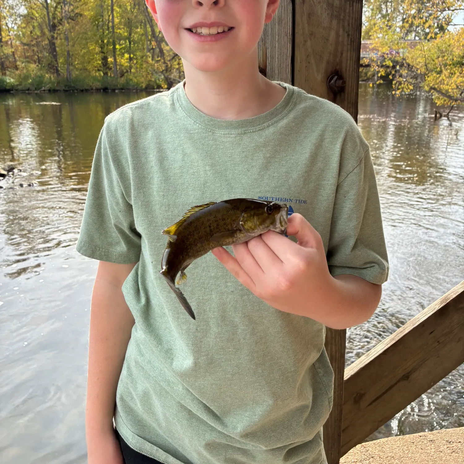 Smallmouth bass caught on Fishbrain
