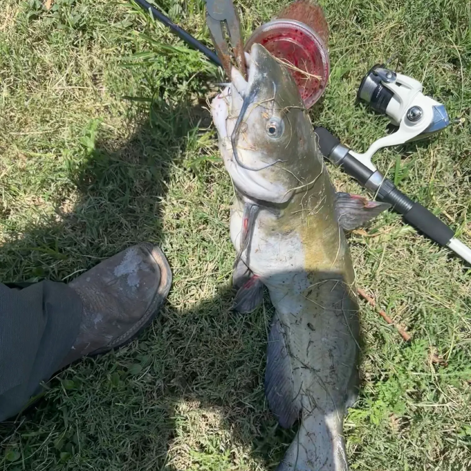 catch