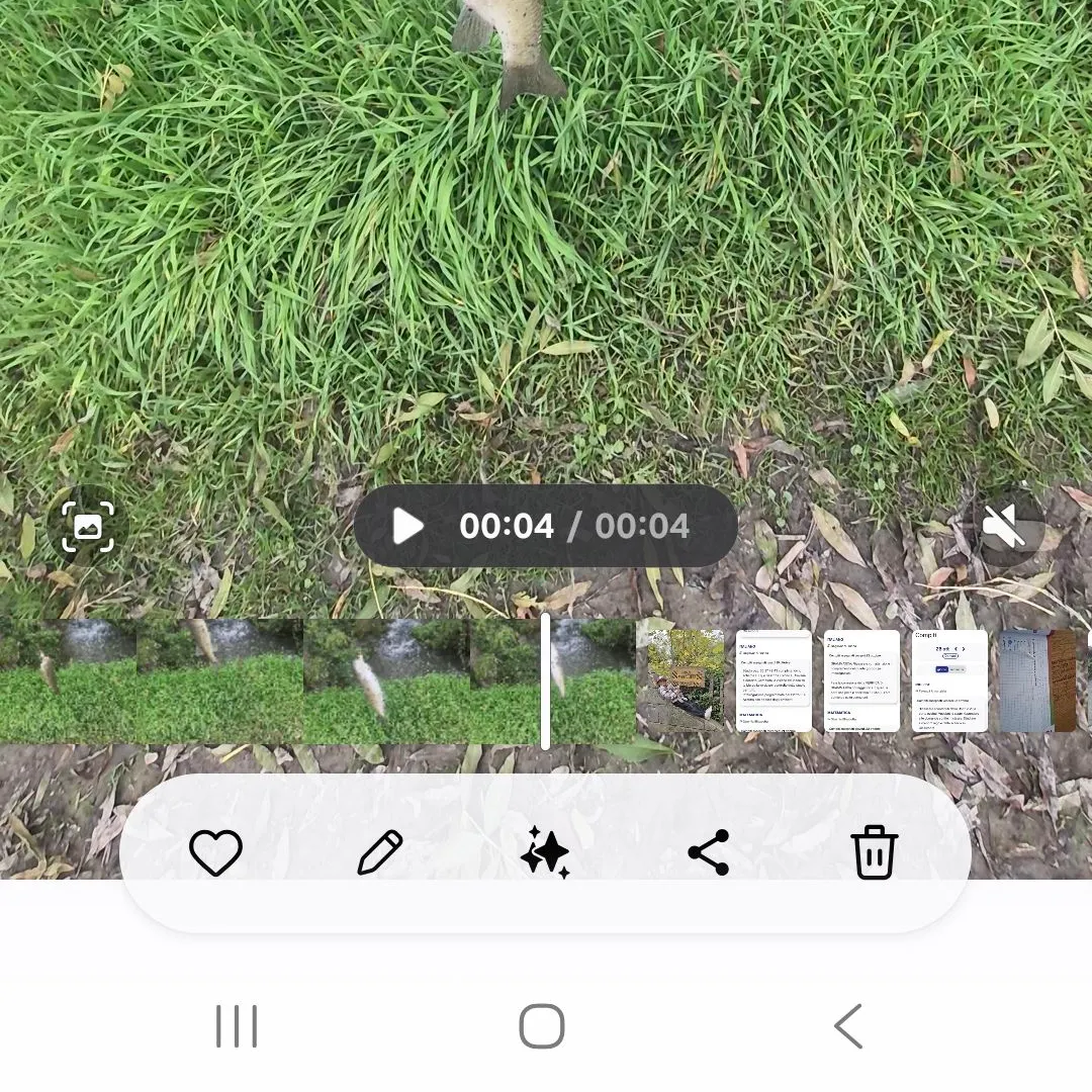 Fish caught on Fishbrain